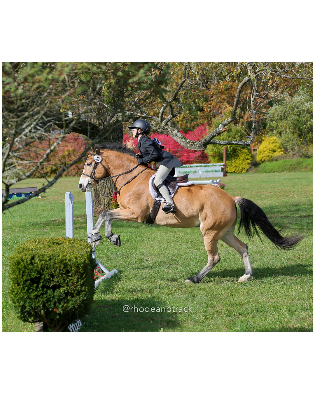 Hunter Derby Horse Show - Walnut Hill Farm - Plainville MA - October 19, 2025 File: ./251019-hunter-derby-walnut-hill-farm-plainville-ma-68-296A6773.jpg Hunter Derby Horse Show - Walnut Hill Farm - Plainville MA - October 19, 2025 – Hunter Derby – Oct 19, 2025 – Plainville, Massachusetts – b…