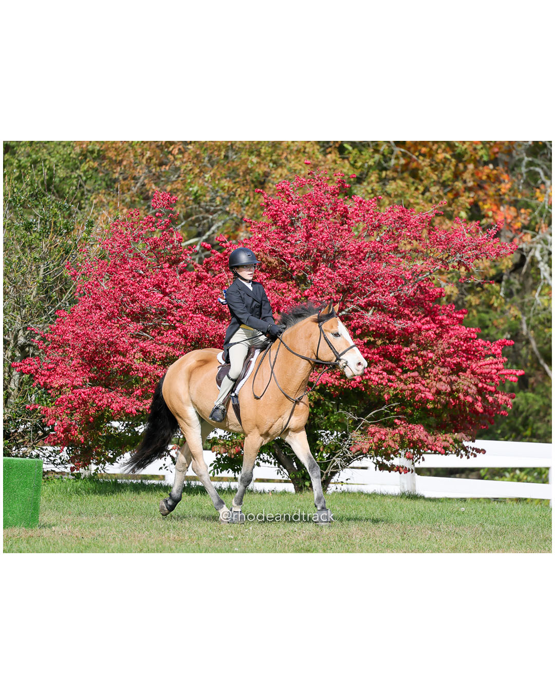 Hunter Derby Horse Show - Walnut Hill Farm - Plainville MA - October 19, 2025 File: ./251019-hunter-derby-walnut-hill-farm-plainville-ma-69-296A6843.jpg Hunter Derby Horse Show - Walnut Hill Farm - Plainville MA - October 19, 2025 – Hunter Derby – Oct 19, 2025 – Plainville, Massachusetts – b…
