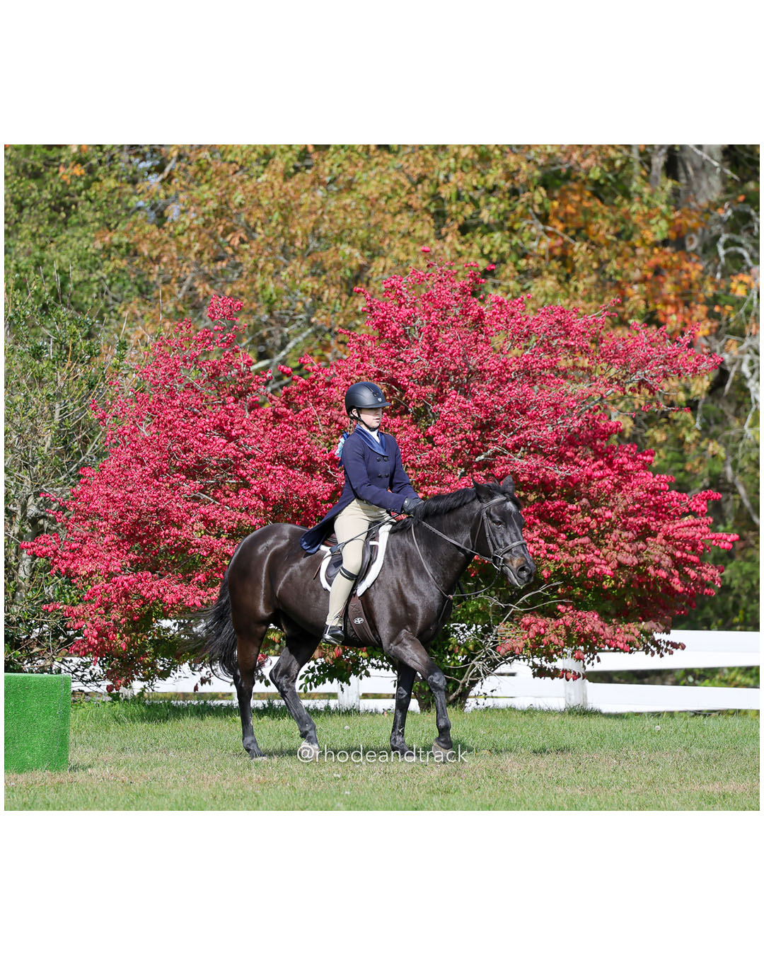 Hunter Derby Horse Show - Walnut Hill Farm - Plainville MA - October 19, 2025 File: ./251019-hunter-derby-walnut-hill-farm-plainville-ma-74-296A7116.jpg Hunter Derby Horse Show - Walnut Hill Farm - Plainville MA - October 19, 2025 – Hunter Derby – Oct 19, 2025 – Plainville, Massachusetts – b…