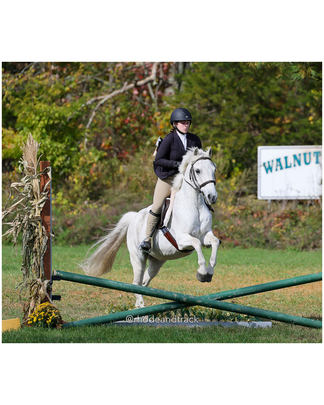 Hunter Derby Horse Show - Walnut Hill Farm - Plainville MA - October 19, 2025 File: ./251019-hunter-derby-walnut-hill-farm-plainville-ma-76-296A7153.jpg Hunter Derby Horse Show - Walnut Hill Farm - Plainville MA - October 19, 2025 – Hunter Derby – Oct 19, 2025 – Plainville, Massachusetts – b…