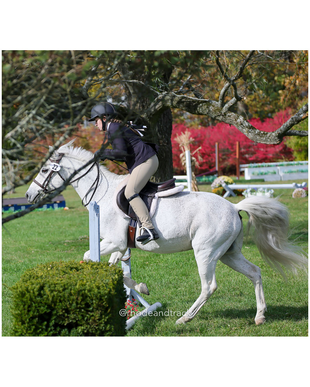 Hunter Derby Horse Show - Walnut Hill Farm - Plainville MA - October 19, 2025 File: ./251019-hunter-derby-walnut-hill-farm-plainville-ma-81-296A7462.jpg Hunter Derby Horse Show - Walnut Hill Farm - Plainville MA - October 19, 2025 – Hunter Derby – Oct 19, 2025 – Plainville, Massachusetts – b…