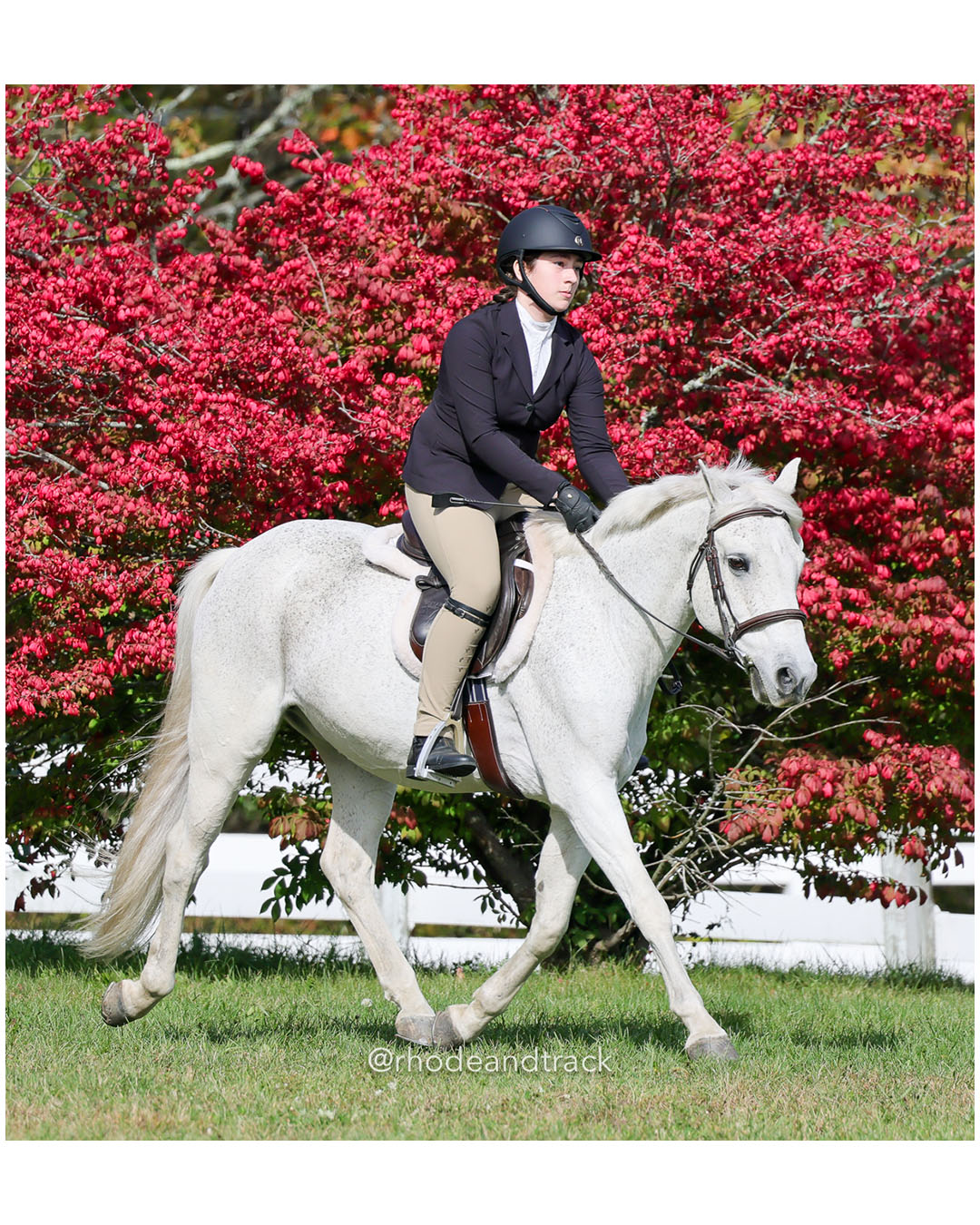 Hunter Derby Horse Show - Walnut Hill Farm - Plainville MA - October 19, 2025 File: ./251019-hunter-derby-walnut-hill-farm-plainville-ma-82-296A7533.jpg Hunter Derby Horse Show - Walnut Hill Farm - Plainville MA - October 19, 2025 – Hunter Derby – Oct 19, 2025 – Plainville, Massachusetts – b…