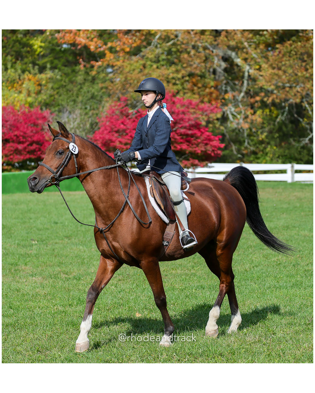 Hunter Derby Horse Show - Walnut Hill Farm - Plainville MA - October 19, 2025 File: ./251019-hunter-derby-walnut-hill-farm-plainville-ma-83-296A7555.jpg Hunter Derby Horse Show - Walnut Hill Farm - Plainville MA - October 19, 2025 – Hunter Derby – Oct 19, 2025 – Plainville, Massachusetts – b…
