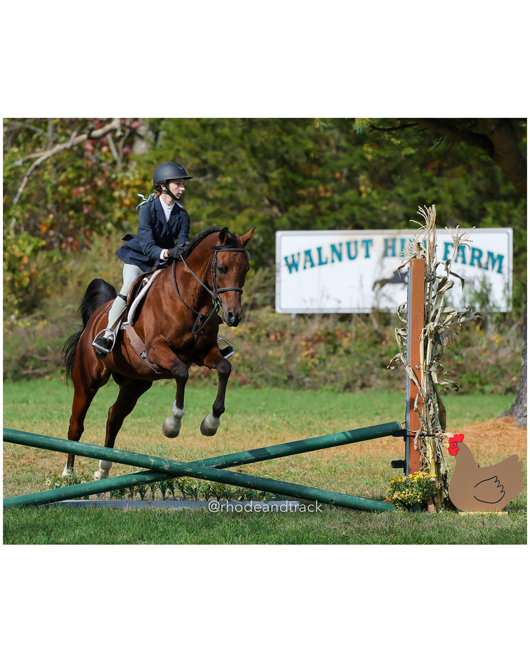Hunter Derby Horse Show - Walnut Hill Farm - Plainville MA - October 19, 2025 File: ./251019-hunter-derby-walnut-hill-farm-plainville-ma-84-296A7577.jpg Hunter Derby Horse Show - Walnut Hill Farm - Plainville MA - October 19, 2025 – Hunter Derby – Oct 19, 2025 – Plainville, Massachusetts – b…
