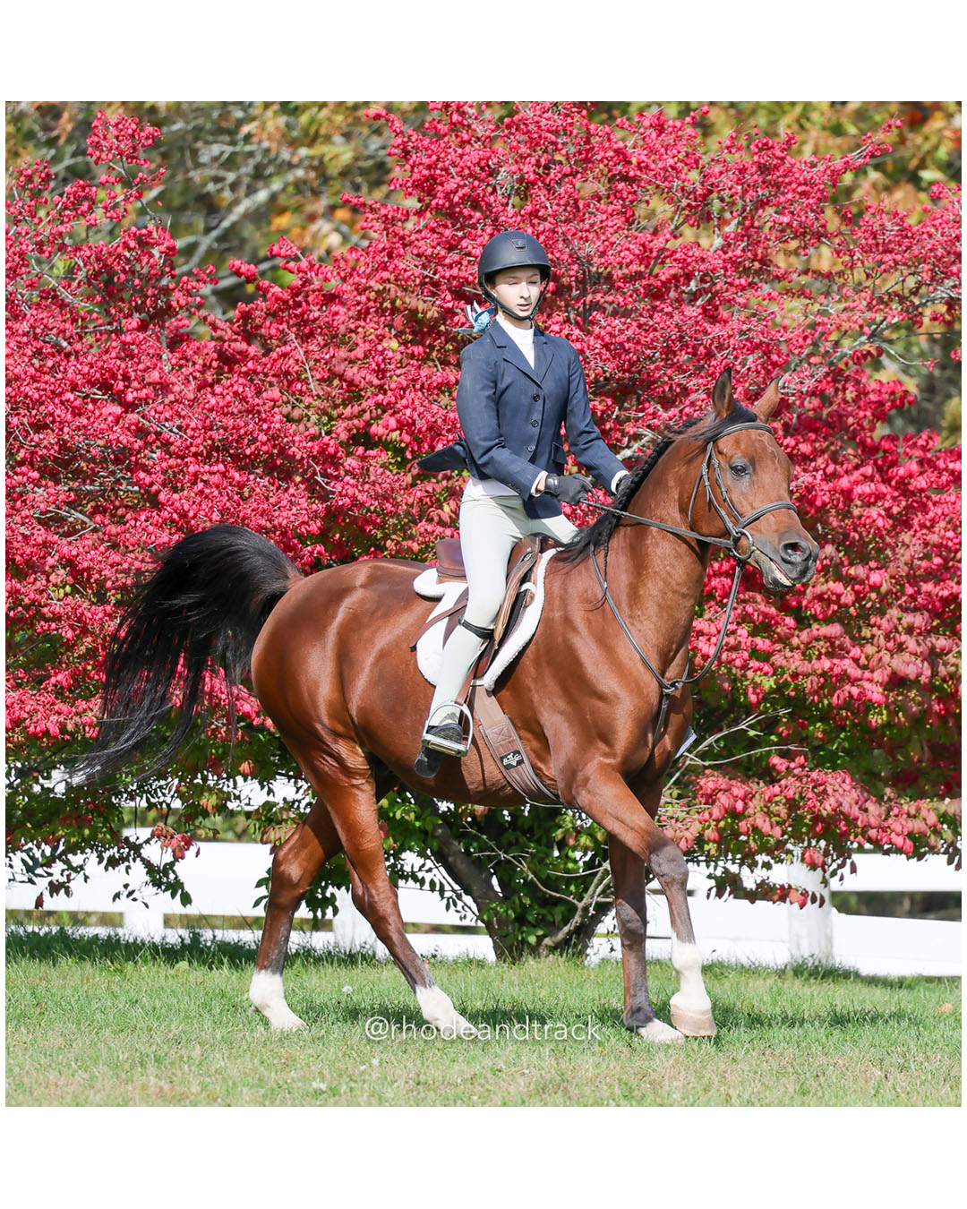 Hunter Derby Horse Show - Walnut Hill Farm - Plainville MA - October 19, 2025 File: ./251019-hunter-derby-walnut-hill-farm-plainville-ma-85-296A7630.jpg Hunter Derby Horse Show - Walnut Hill Farm - Plainville MA - October 19, 2025 – Hunter Derby – Oct 19, 2025 – Plainville, Massachusetts – b…