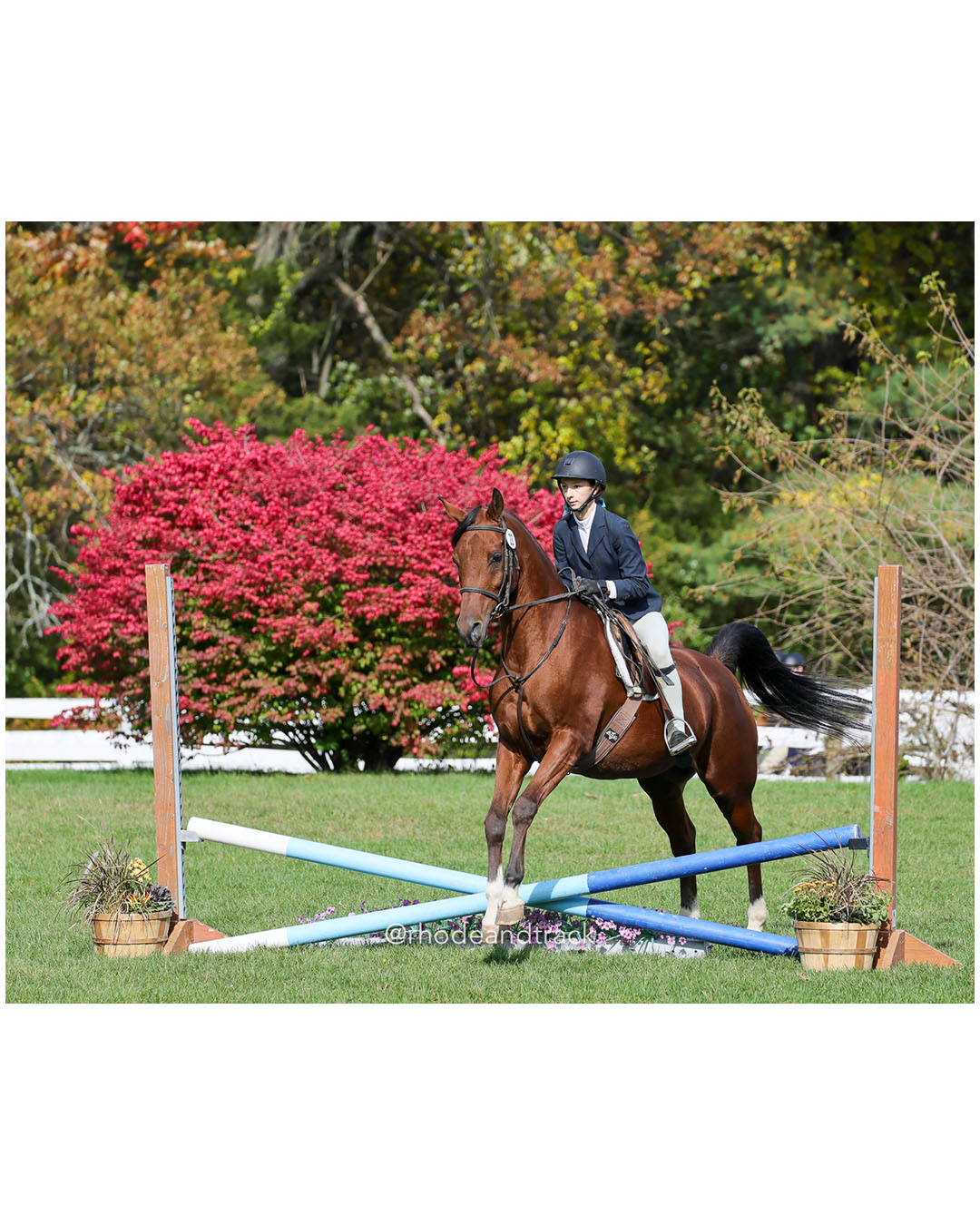 Hunter Derby Horse Show - Walnut Hill Farm - Plainville MA - October 19, 2025 File: ./251019-hunter-derby-walnut-hill-farm-plainville-ma-86-296A7642.jpg Hunter Derby Horse Show - Walnut Hill Farm - Plainville MA - October 19, 2025 – Hunter Derby – Oct 19, 2025 – Plainville, Massachusetts – b…
