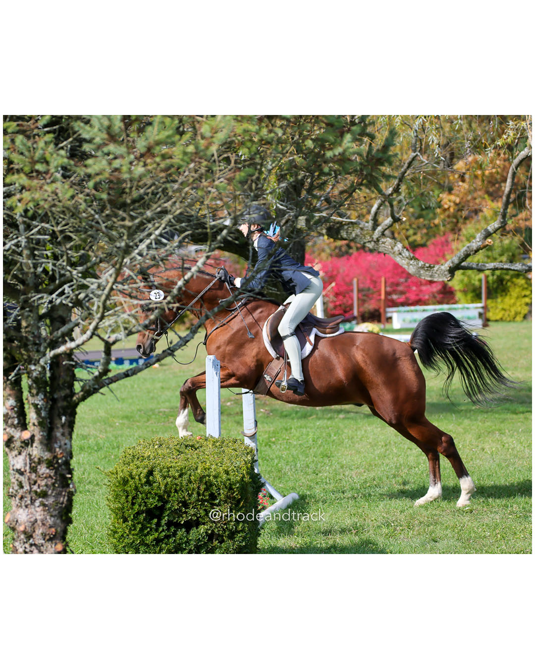 Hunter Derby Horse Show - Walnut Hill Farm - Plainville MA - October 19, 2025 File: ./251019-hunter-derby-walnut-hill-farm-plainville-ma-87-296A7674.jpg Hunter Derby Horse Show - Walnut Hill Farm - Plainville MA - October 19, 2025 – Hunter Derby – Oct 19, 2025 – Plainville, Massachusetts – b…