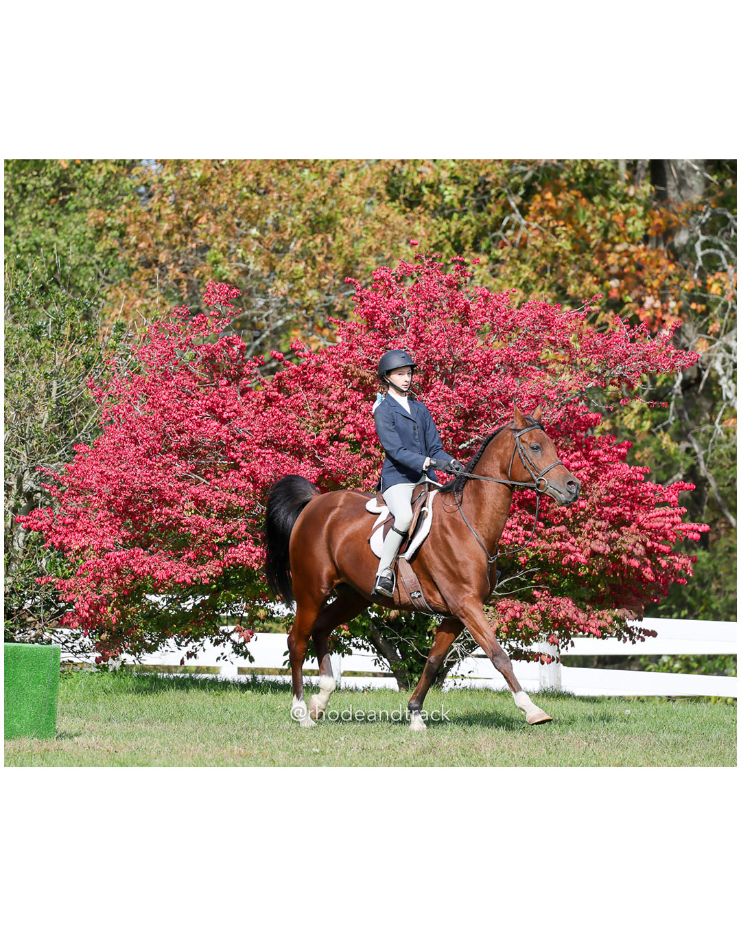 Hunter Derby Horse Show - Walnut Hill Farm - Plainville MA - October 19, 2025 File: ./251019-hunter-derby-walnut-hill-farm-plainville-ma-88-296A7686.jpg Hunter Derby Horse Show - Walnut Hill Farm - Plainville MA - October 19, 2025 – Hunter Derby – Oct 19, 2025 – Plainville, Massachusetts – b…