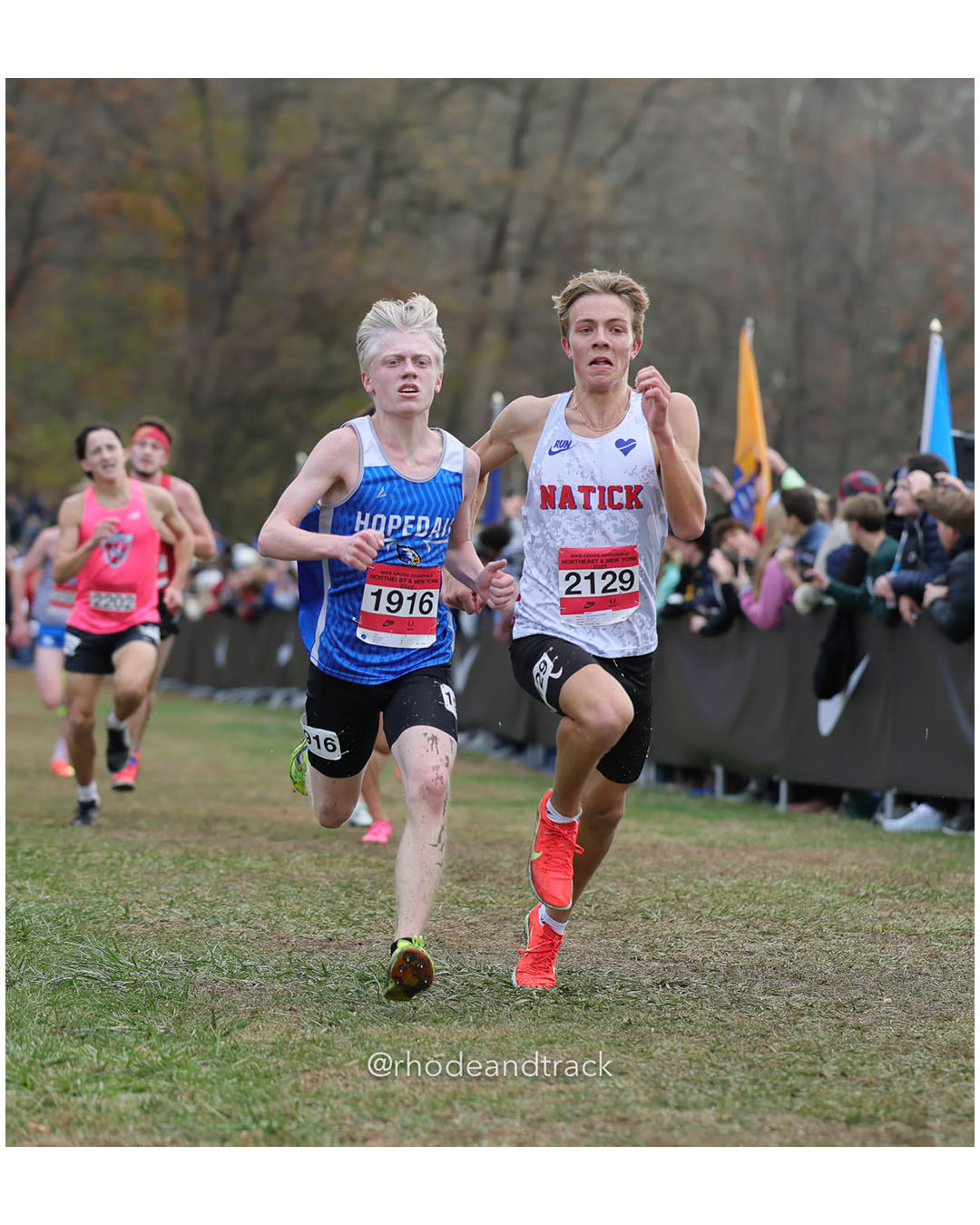 Ben Stone, Hopedale - NXR NE NY - Bowdoin Park - Wappingers Falls, NY November 11, 2025 - Bowdoin Park - Wappingers Falls, New York - November 22, 2025 File: ./251122-2025-NXR-NE-NY-Federation-Championships-Bowdoin-Park-238-296A9351.jpg Ben Stone, Hopedale - NXR NE NY - Bowdoin Park - Wappingers Falls, NY November 11, 2025 - Bowdoin Park - Wappingers Falls, New York - Novem…