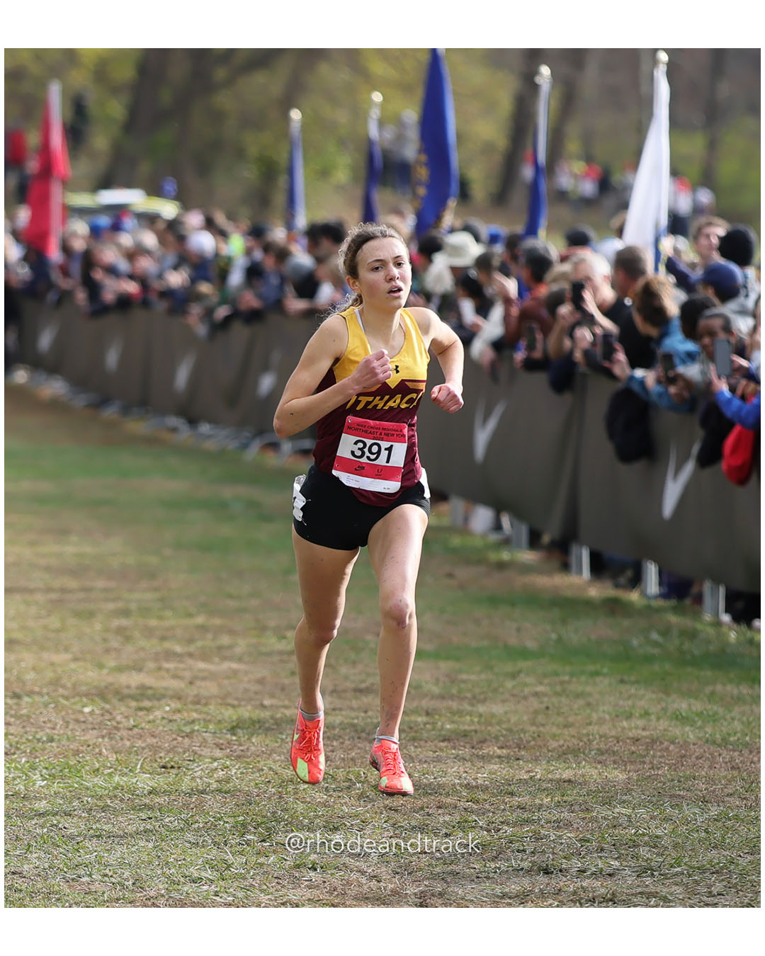 Tsadia Bercuvitz, Ithaca - NXR NE NY - Bowdoin Park - Wappingers Falls, NY November 11, 2025 - Bowdoin Park - Wappingers Falls, New York - November 22, 2025 File: ./251122-2025-NXR-NE-NY-Federation-Championships-Bowdoin-Park-75-296A6279.jpg Tsadia Bercuvitz, Ithaca - NXR NE NY - Bowdoin Park - Wappingers Falls, NY November 11, 2025 - Bowdoin Park - Wappingers Falls, New York -…