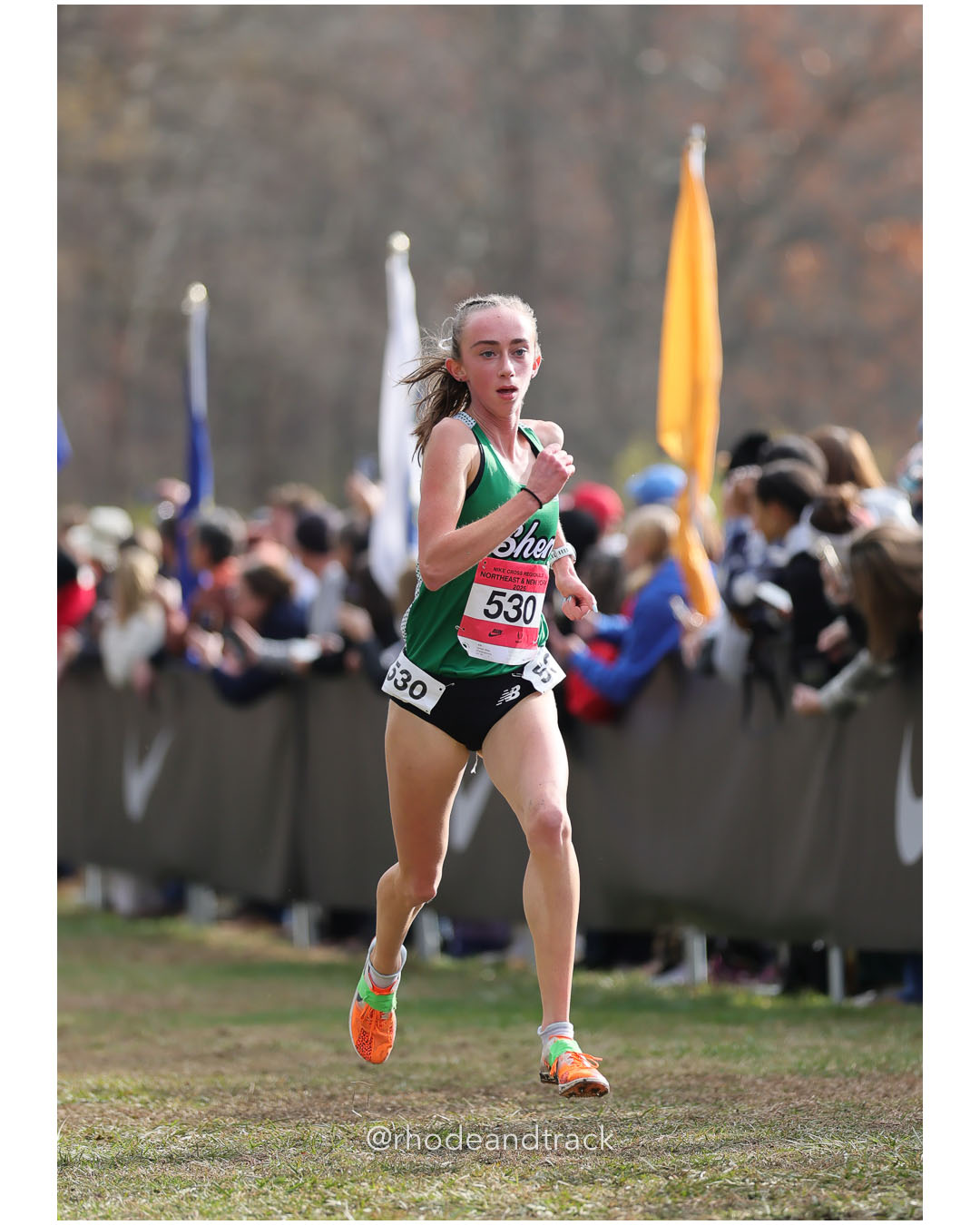 Joshua Ashbaugh, Bemus Point Track Club - NXR NE NY - Bowdoin Park - Wappingers Falls, NY November 11, 2025 - Bowdoin Park - Wappingers Falls, New York - November 22, 2025 File: ./251122-2025-NXR-NE-NY-Federation-Championships-Bowdoin-Park-85-296A6533.jpg Joshua Ashbaugh, Bemus Point Track Club - NXR NE NY - Bowdoin Park - Wappingers Falls, NY November 11, 2025 - Bowdoin Park - Wappingers Fal…