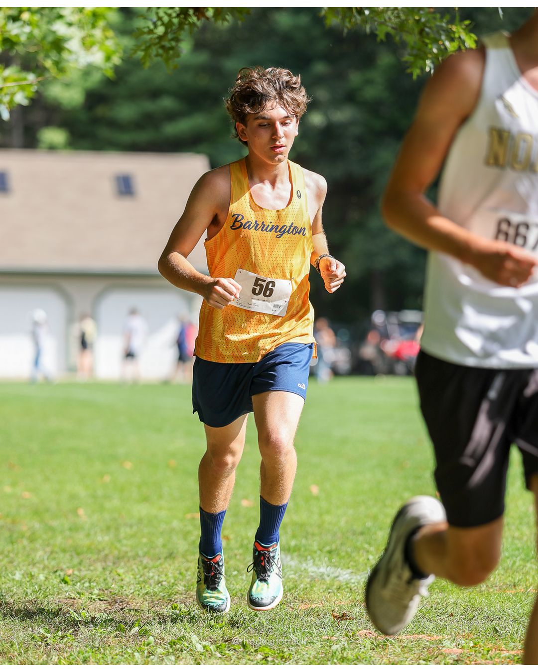 #56 Teddy Pickford, Barrington High School, 5k Run - Boys (K Johnston), P51, 20:04.12 - 2026 Injury Fund Carnival XC - Deerfield Park - Greenville, Rhode Island - September 05, 2026 File: ./dir-3-5k_Run-Boys-K_Johnston/260905-2026-injury-fund-xc-deerfield-park-369-398A7409.jpg #56 Teddy Pickford, Barrington High School, 5k Run - Boys (K Johnston), P51, 20:04.12 - 2026 Injury Fund Carnival XC - Deerfield Park - Gre…