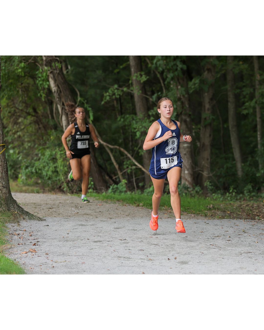 #115 Sophia Zampello, Burrillville High School, 5k Run - Girls (Caswell), P14, 22:06.46 - 2026 Injury Fund Carnival XC - Deerfield Park - Greenville, Rhode Island - September 05, 2026 File: ./dir-8-5k_Run-Girls-Caswell/260905-2026-injury-fund-xc-deerfield-park-1283-398A0931.jpg #115 Sophia Zampello, Burrillville High School, 5k Run - Girls (Caswell), P14, 22:06.46 - 2026 Injury Fund Carnival XC - Deerfield Park - G…