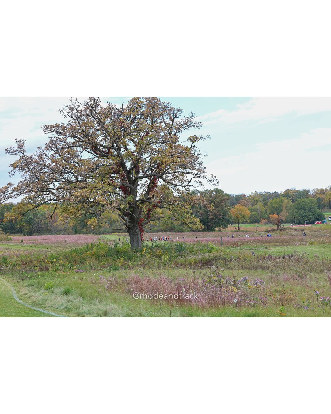 2026 Nuttycombe XC Invitational - Thomas Zimmer XC Course - Verona, Wisconsin - October 09, 2026 – 2026 Nuttycombe Wisconsin Cross Country…