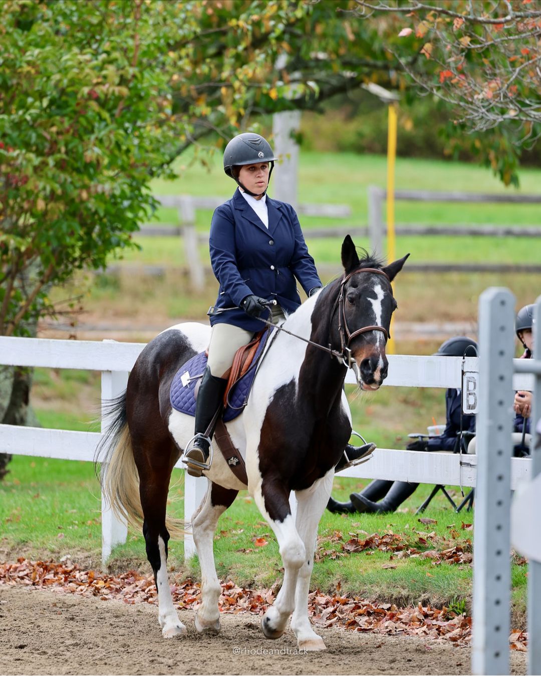 IEA Horse Show, Hannover MA - October 11, 2026 File: ./261011-IEA-Hanover-MA-October-11-2026-10.jpg IEA Horse Show, Hannover MA - October 11, 2026 – 2026 Briggs Stable IEA Show – Oct 11, 2026 – 623 Hanover St, Hanover, MA 02339 – bib #11