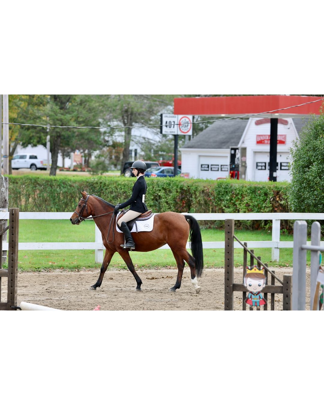 IEA Horse Show, Hannover MA - October 11, 2026 File: ./261011-IEA-Hanover-MA-October-11-2026-14.jpg IEA Horse Show, Hannover MA - October 11, 2026 – 2026 Briggs Stable IEA Show – Oct 11, 2026 – 623 Hanover St, Hanover, MA 02339 – bib #11