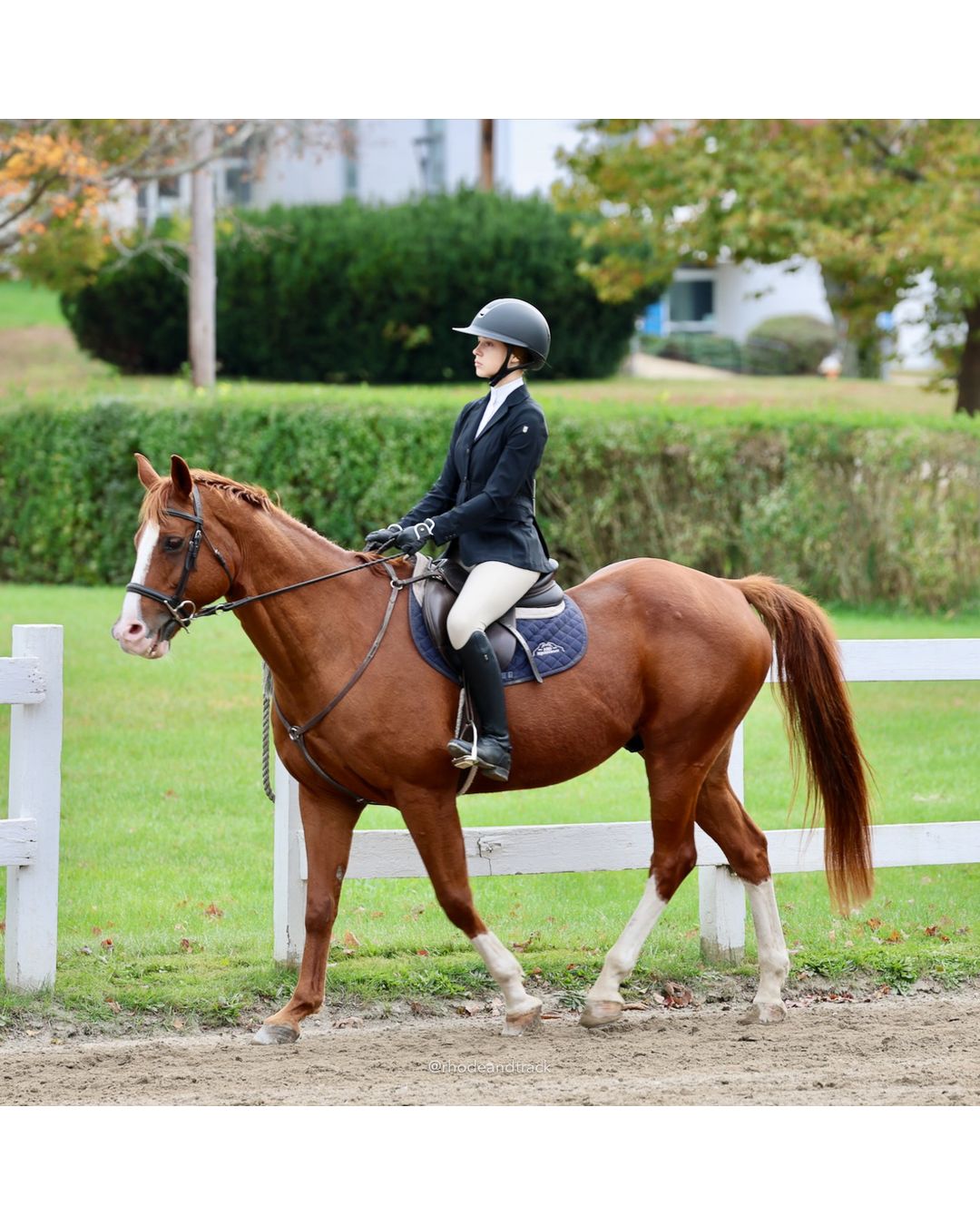 IEA Horse Show, Hannover MA - October 11, 2026 File: ./261011-IEA-Hanover-MA-October-11-2026-15.jpg IEA Horse Show, Hannover MA - October 11, 2026 – 2026 Briggs Stable IEA Show – Oct 11, 2026 – 623 Hanover St, Hanover, MA 02339 – bib #11