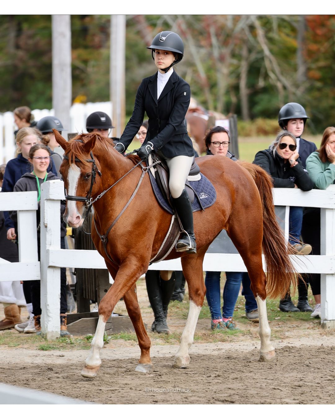 IEA Horse Show, Hannover MA - October 11, 2026 File: ./261011-IEA-Hanover-MA-October-11-2026-16.jpg IEA Horse Show, Hannover MA - October 11, 2026 – 2026 Briggs Stable IEA Show – Oct 11, 2026 – 623 Hanover St, Hanover, MA 02339 – bib #11