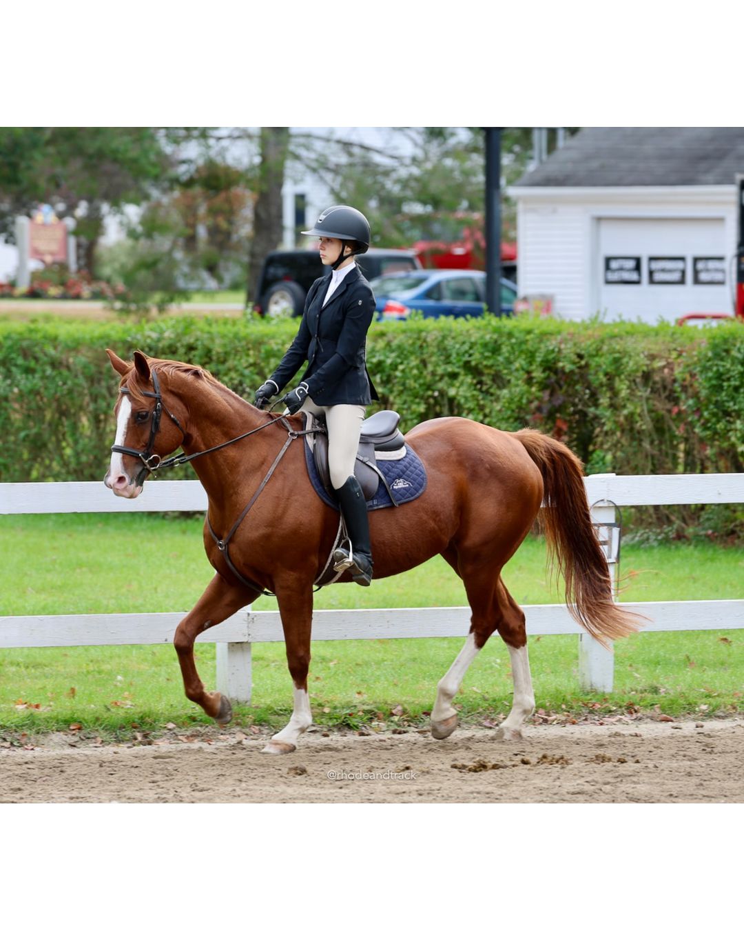 IEA Horse Show, Hannover MA - October 11, 2026 File: ./261011-IEA-Hanover-MA-October-11-2026-17.jpg IEA Horse Show, Hannover MA - October 11, 2026 – 2026 Briggs Stable IEA Show – Oct 11, 2026 – 623 Hanover St, Hanover, MA 02339 – bib #11