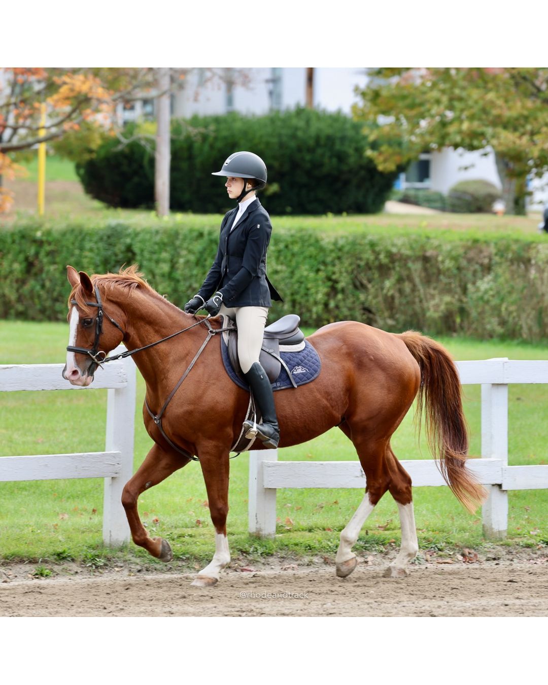 IEA Horse Show, Hannover MA - October 11, 2026 File: ./261011-IEA-Hanover-MA-October-11-2026-18.jpg IEA Horse Show, Hannover MA - October 11, 2026 – 2026 Briggs Stable IEA Show – Oct 11, 2026 – 623 Hanover St, Hanover, MA 02339 – bib #11