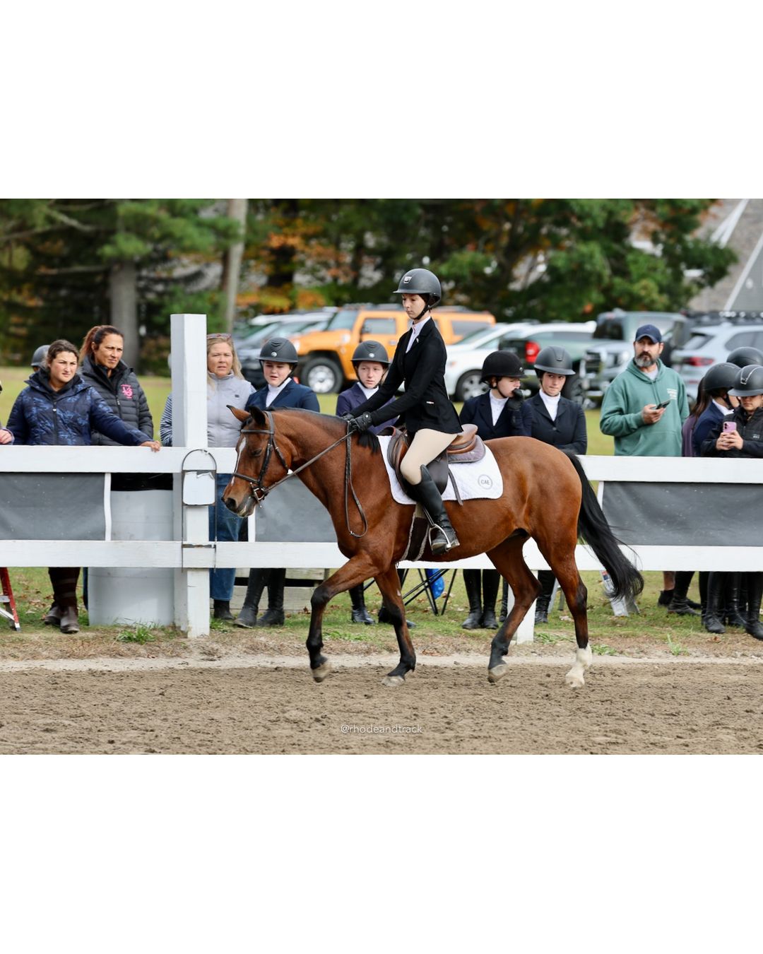 IEA Horse Show, Hannover MA - October 11, 2026 File: ./261011-IEA-Hanover-MA-October-11-2026-19.jpg IEA Horse Show, Hannover MA - October 11, 2026 – 2026 Briggs Stable IEA Show – Oct 11, 2026 – 623 Hanover St, Hanover, MA 02339 – bib #11