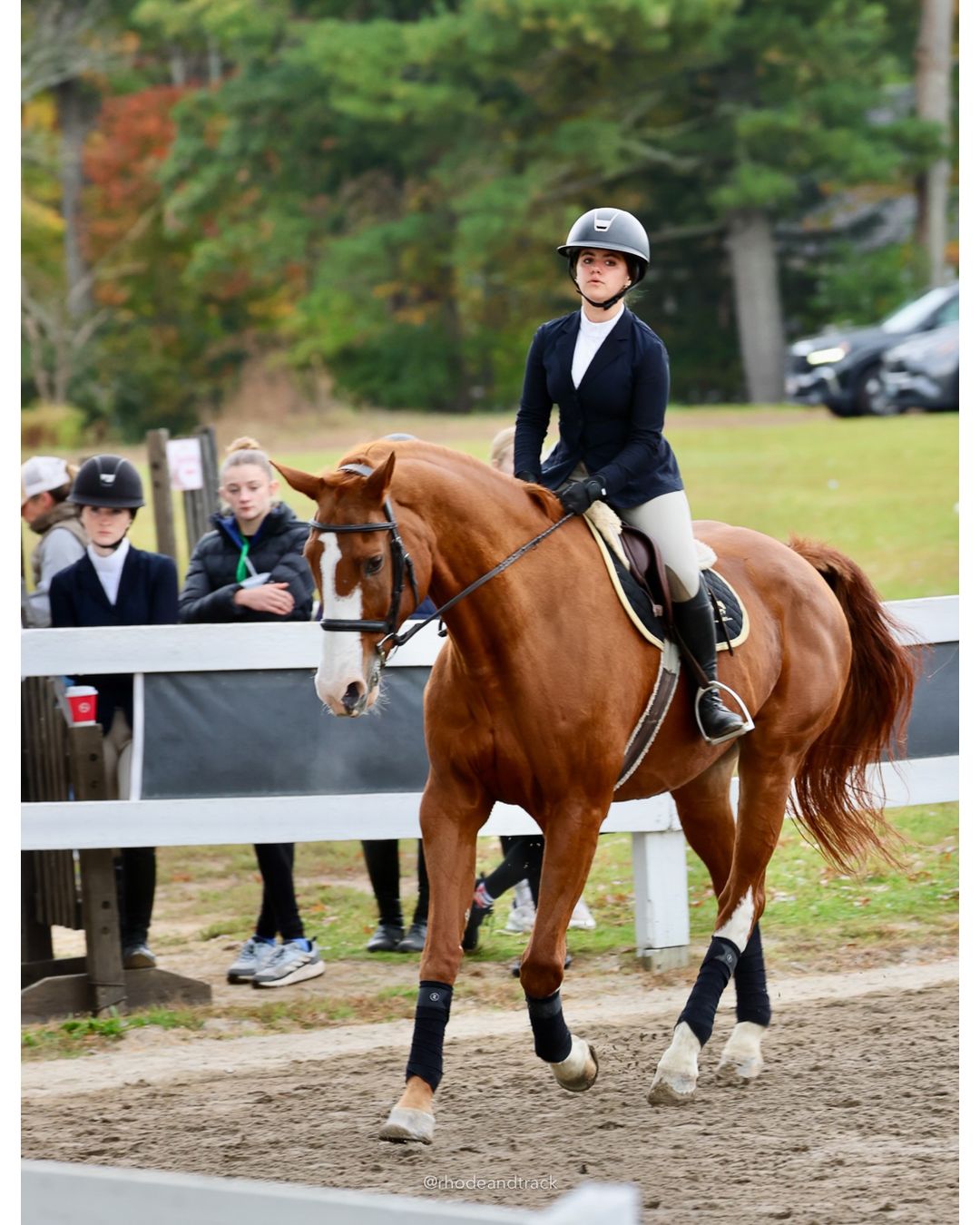 IEA Horse Show, Hannover MA - October 11, 2026 File: ./261011-IEA-Hanover-MA-October-11-2026-2.jpg IEA Horse Show, Hannover MA - October 11, 2026 – 2026 Briggs Stable IEA Show – Oct 11, 2026 – 623 Hanover St, Hanover, MA 02339 – bib #11