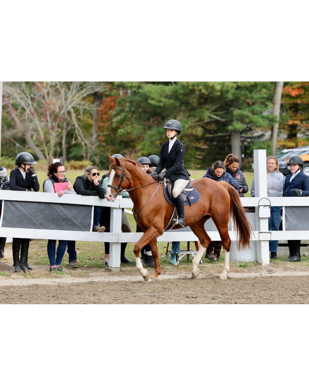 IEA Horse Show, Hannover MA - October 11, 2026 File: ./261011-IEA-Hanover-MA-October-11-2026-20.jpg IEA Horse Show, Hannover MA - October 11, 2026 – 2026 Briggs Stable IEA Show – Oct 11, 2026 – 623 Hanover St, Hanover, MA 02339 – bib #11
