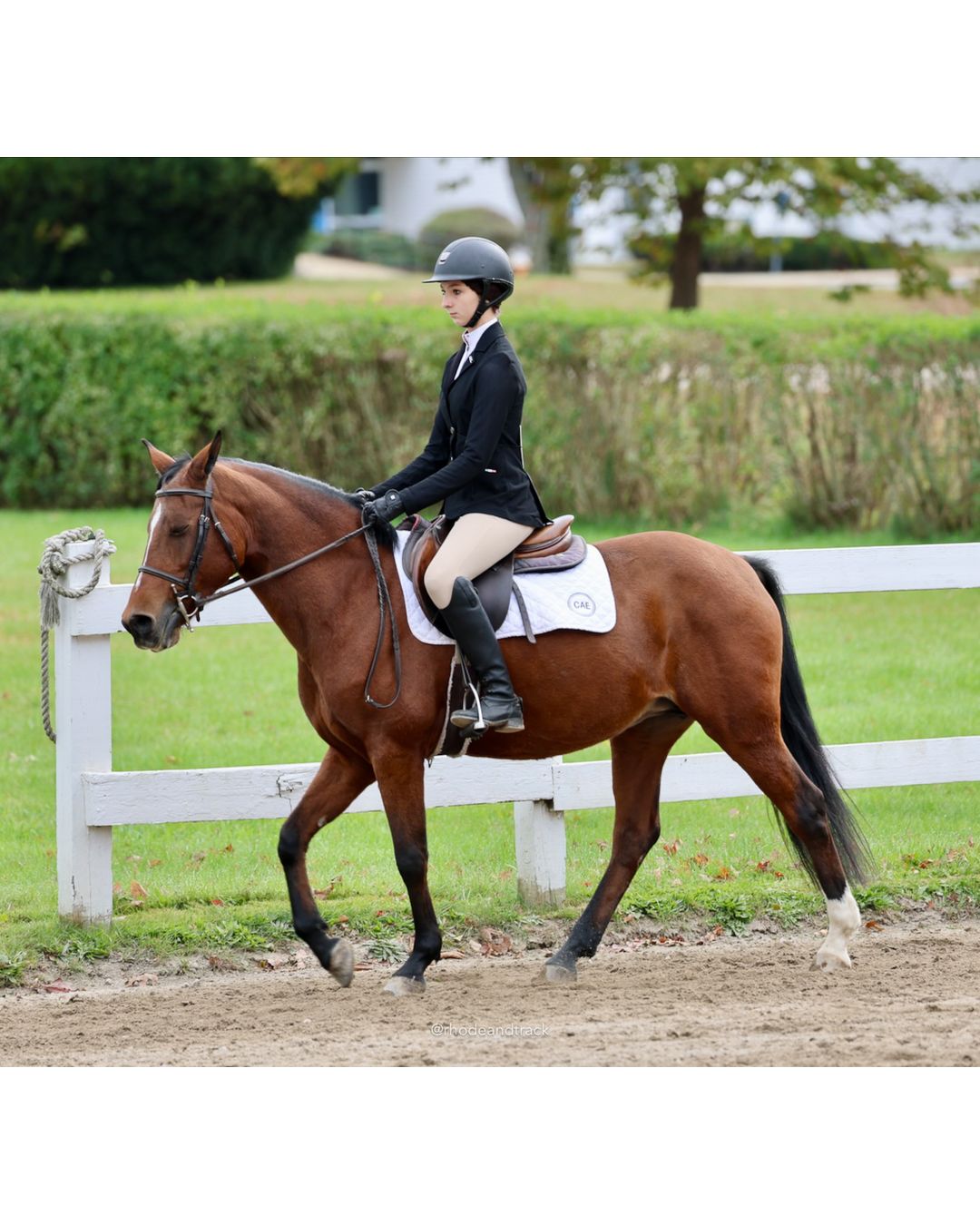 IEA Horse Show, Hannover MA - October 11, 2026 File: ./261011-IEA-Hanover-MA-October-11-2026-21.jpg IEA Horse Show, Hannover MA - October 11, 2026 – 2026 Briggs Stable IEA Show – Oct 11, 2026 – 623 Hanover St, Hanover, MA 02339 – bib #11