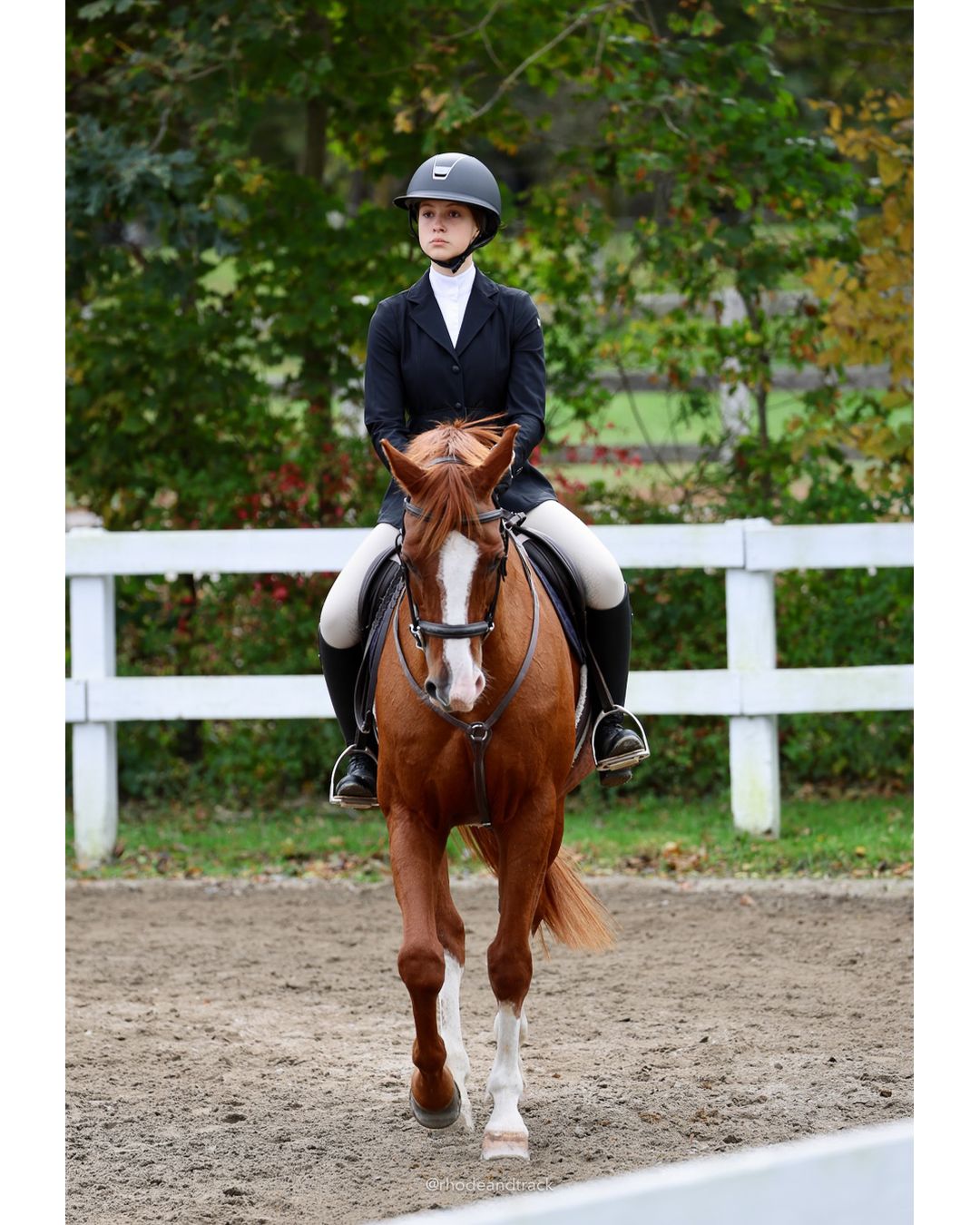 IEA Horse Show, Hannover MA - October 11, 2026 File: ./261011-IEA-Hanover-MA-October-11-2026-22.jpg IEA Horse Show, Hannover MA - October 11, 2026 – 2026 Briggs Stable IEA Show – Oct 11, 2026 – 623 Hanover St, Hanover, MA 02339 – bib #11