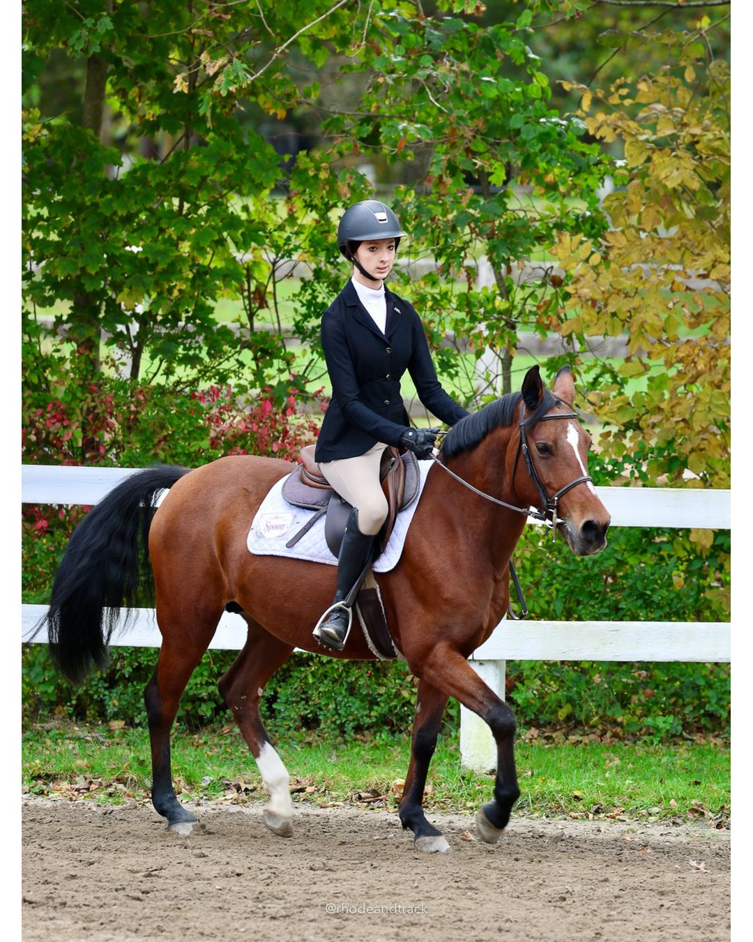 IEA Horse Show, Hannover MA - October 11, 2026 File: ./261011-IEA-Hanover-MA-October-11-2026-23.jpg IEA Horse Show, Hannover MA - October 11, 2026 – 2026 Briggs Stable IEA Show – Oct 11, 2026 – 623 Hanover St, Hanover, MA 02339 – bib #11