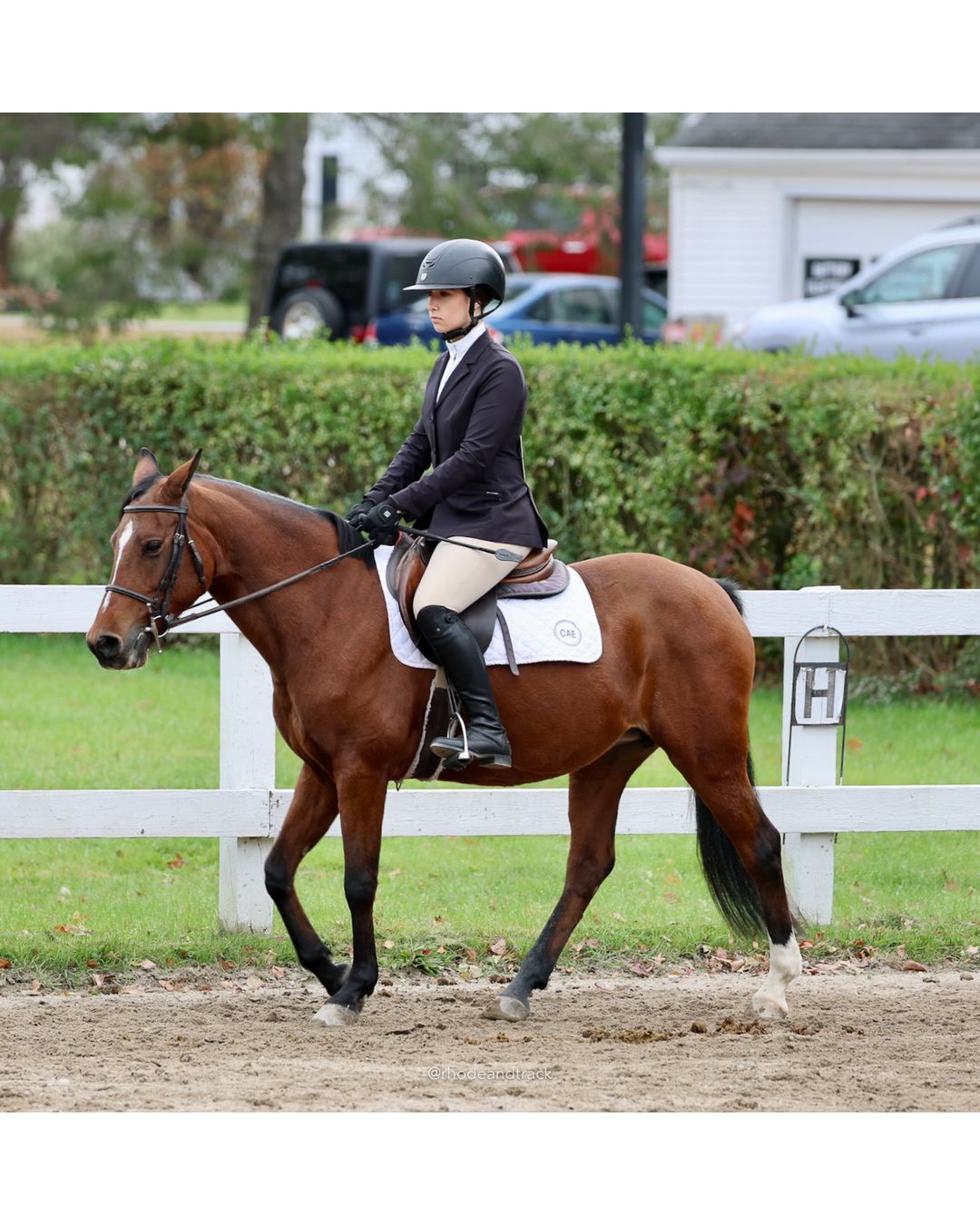 IEA Horse Show, Hannover MA - October 11, 2026 File: ./261011-IEA-Hanover-MA-October-11-2026-26.jpg IEA Horse Show, Hannover MA - October 11, 2026 – 2026 Briggs Stable IEA Show – Oct 11, 2026 – 623 Hanover St, Hanover, MA 02339 – bib #11
