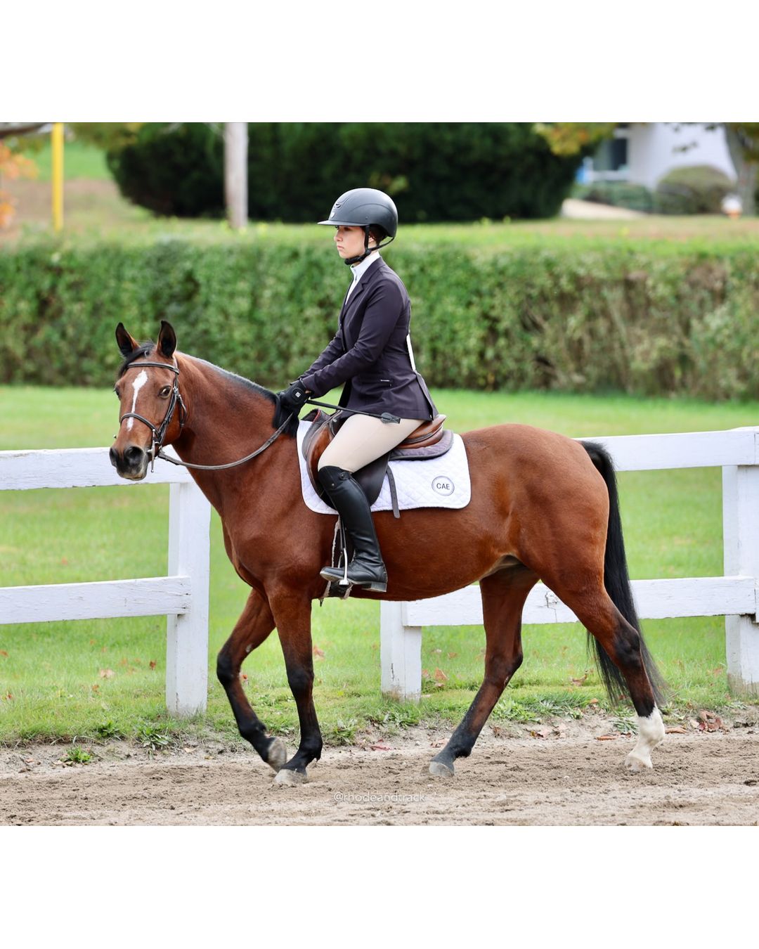 IEA Horse Show, Hannover MA - October 11, 2026 File: ./261011-IEA-Hanover-MA-October-11-2026-29.jpg IEA Horse Show, Hannover MA - October 11, 2026 – 2026 Briggs Stable IEA Show – Oct 11, 2026 – 623 Hanover St, Hanover, MA 02339 – bib #11