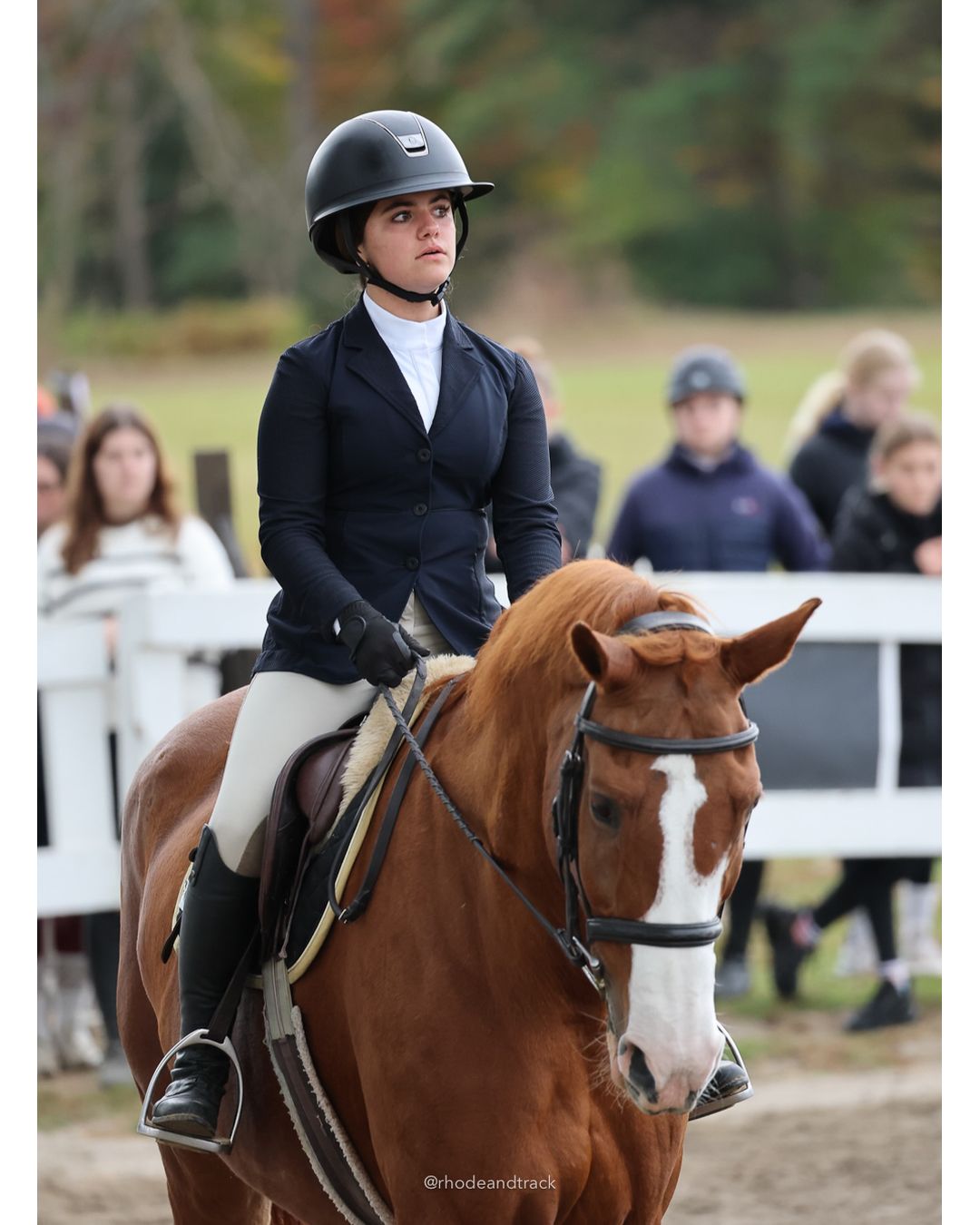 IEA Horse Show, Hannover MA - October 11, 2026 File: ./261011-IEA-Hanover-MA-October-11-2026-3.jpg IEA Horse Show, Hannover MA - October 11, 2026 – 2026 Briggs Stable IEA Show – Oct 11, 2026 – 623 Hanover St, Hanover, MA 02339 – bib #11