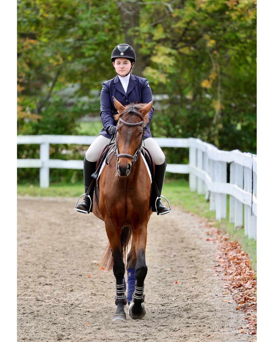 IEA Horse Show, Hannover MA - October 11, 2026 File: ./261011-IEA-Hanover-MA-October-11-2026-33.jpg IEA Horse Show, Hannover MA - October 11, 2026 – 2026 Briggs Stable IEA Show – Oct 11, 2026 – 623 Hanover St, Hanover, MA 02339 – bib #11