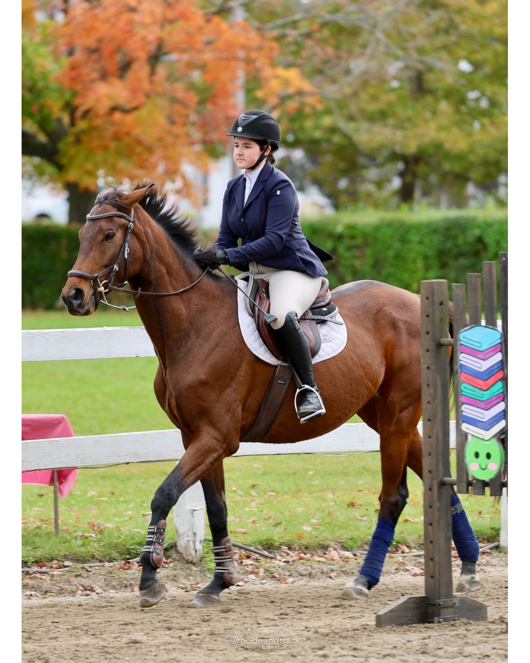 IEA Horse Show, Hannover MA - October 11, 2026 File: ./261011-IEA-Hanover-MA-October-11-2026-35.jpg IEA Horse Show, Hannover MA - October 11, 2026 – 2026 Briggs Stable IEA Show – Oct 11, 2026 – 623 Hanover St, Hanover, MA 02339 – bib #11