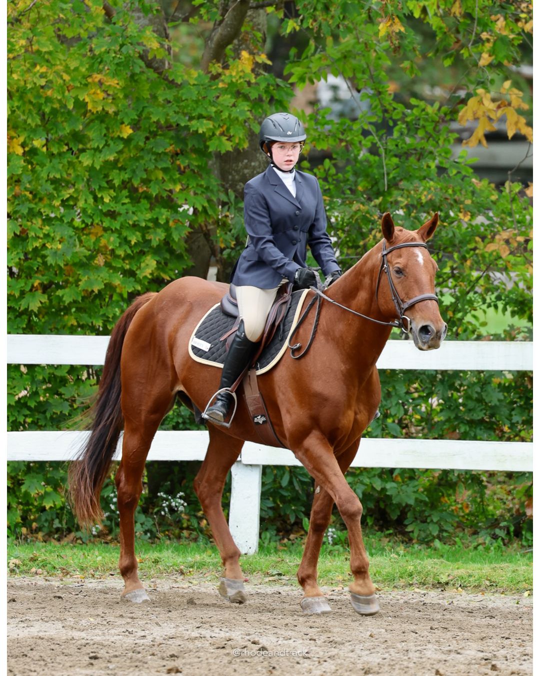 IEA Horse Show, Hannover MA - October 11, 2026 File: ./261011-IEA-Hanover-MA-October-11-2026-38.jpg IEA Horse Show, Hannover MA - October 11, 2026 – 2026 Briggs Stable IEA Show – Oct 11, 2026 – 623 Hanover St, Hanover, MA 02339 – bib #11