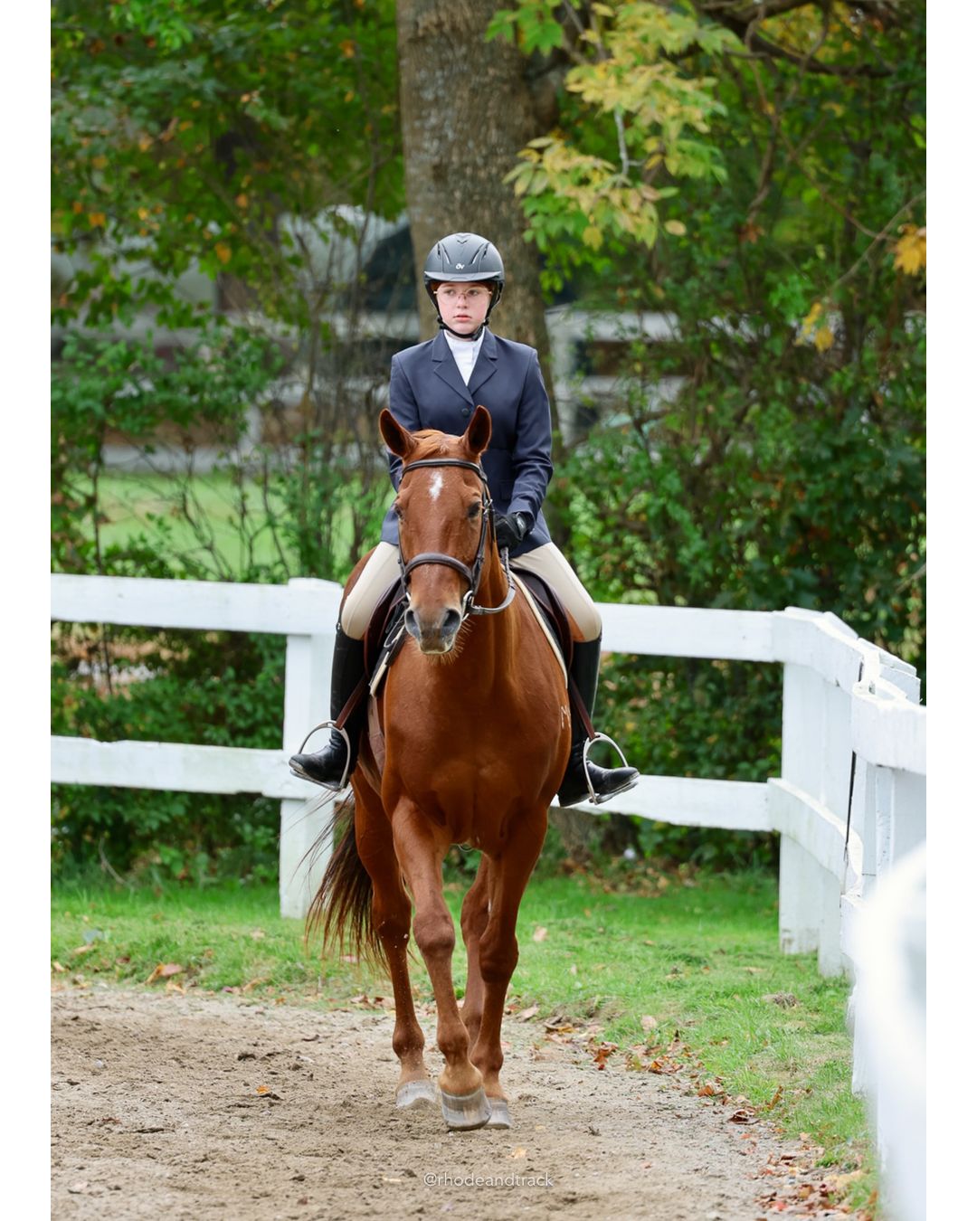 IEA Horse Show, Hannover MA - October 11, 2026 File: ./261011-IEA-Hanover-MA-October-11-2026-39.jpg IEA Horse Show, Hannover MA - October 11, 2026 – 2026 Briggs Stable IEA Show – Oct 11, 2026 – 623 Hanover St, Hanover, MA 02339 – bib #11