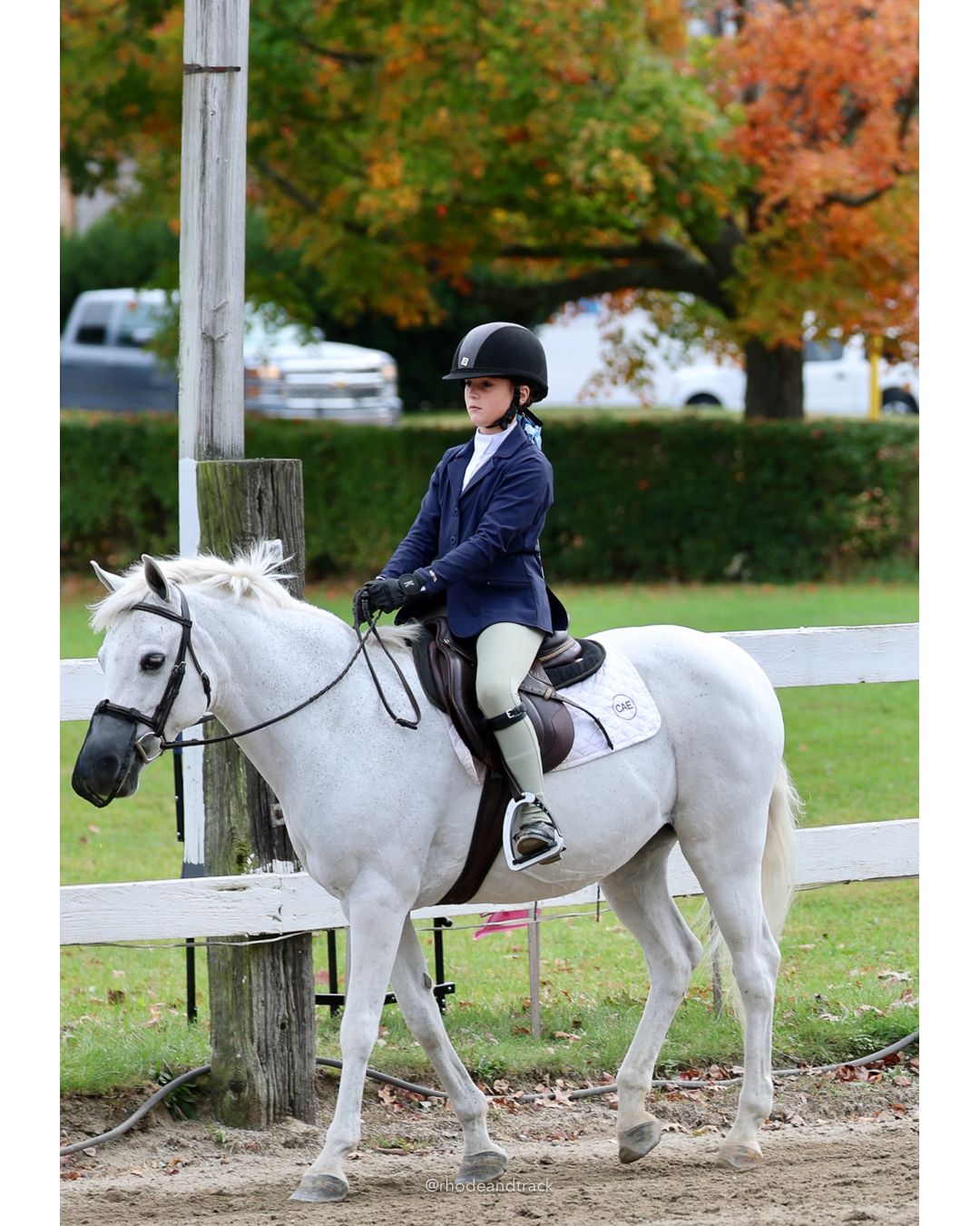 IEA Horse Show, Hannover MA - October 11, 2026 File: ./261011-IEA-Hanover-MA-October-11-2026-41.jpg IEA Horse Show, Hannover MA - October 11, 2026 – 2026 Briggs Stable IEA Show – Oct 11, 2026 – 623 Hanover St, Hanover, MA 02339 – bib #11