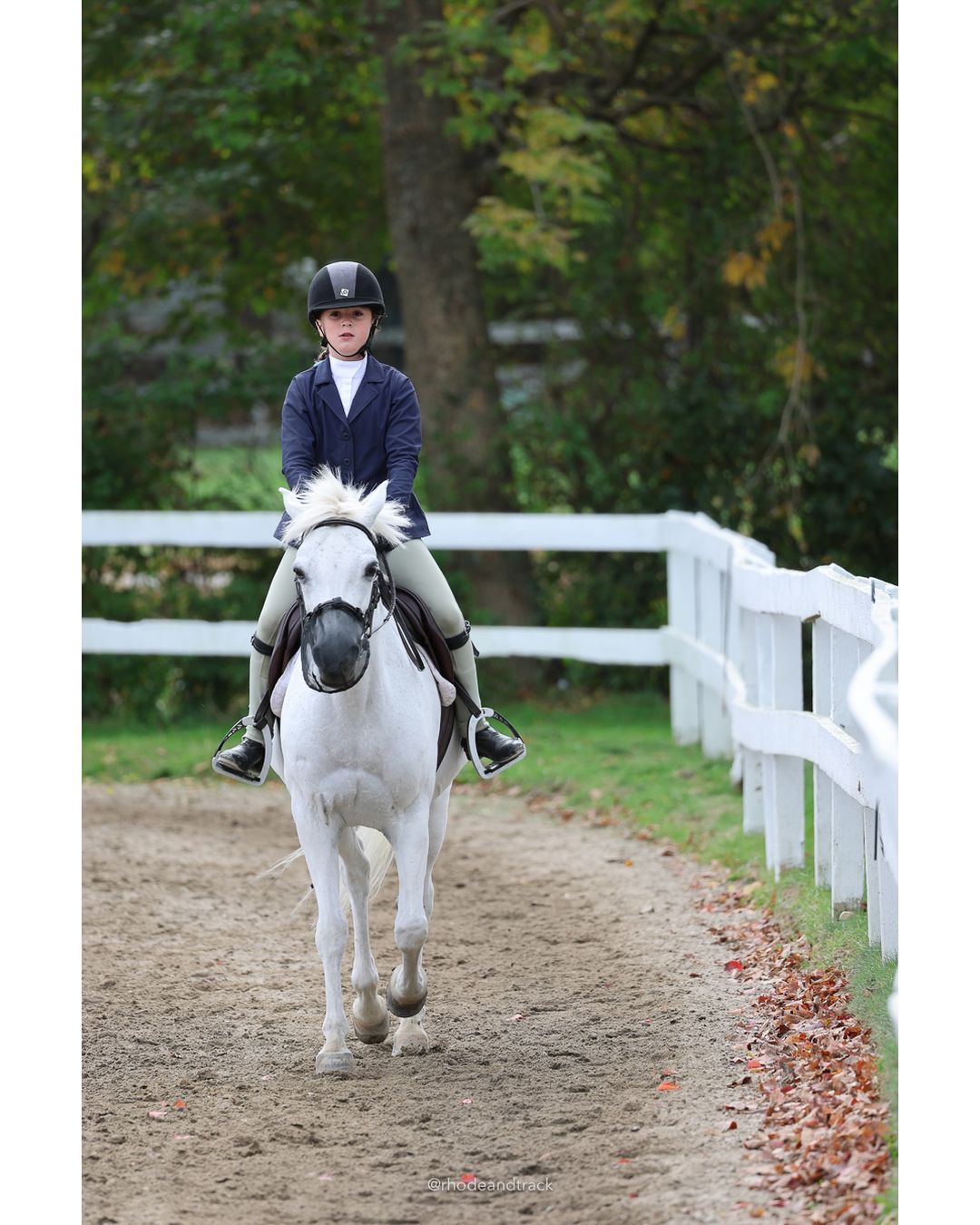 IEA Horse Show, Hannover MA - October 11, 2026 File: ./261011-IEA-Hanover-MA-October-11-2026-44.jpg IEA Horse Show, Hannover MA - October 11, 2026 – 2026 Briggs Stable IEA Show – Oct 11, 2026 – 623 Hanover St, Hanover, MA 02339 – bib #11