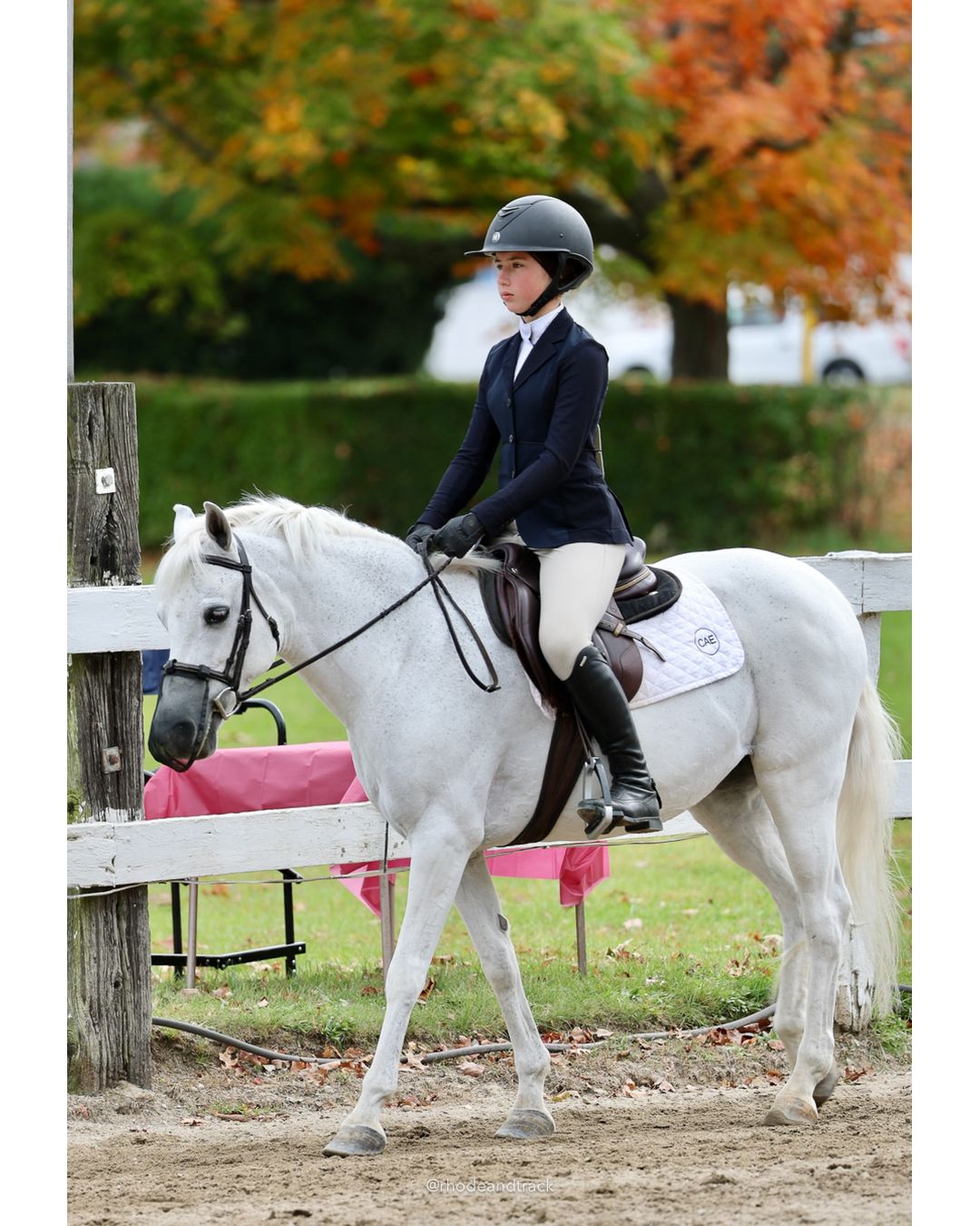 IEA Horse Show, Hannover MA - October 11, 2026 File: ./261011-IEA-Hanover-MA-October-11-2026-47.jpg IEA Horse Show, Hannover MA - October 11, 2026 – 2026 Briggs Stable IEA Show – Oct 11, 2026 – 623 Hanover St, Hanover, MA 02339 – bib #11