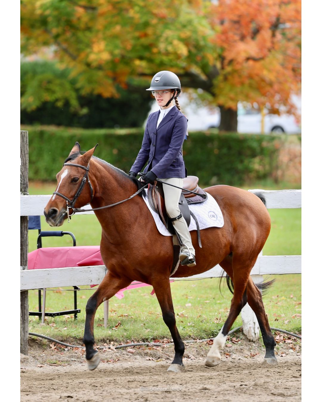 IEA Horse Show, Hannover MA - October 11, 2026 File: ./261011-IEA-Hanover-MA-October-11-2026-48.jpg IEA Horse Show, Hannover MA - October 11, 2026 – 2026 Briggs Stable IEA Show – Oct 11, 2026 – 623 Hanover St, Hanover, MA 02339 – bib #11