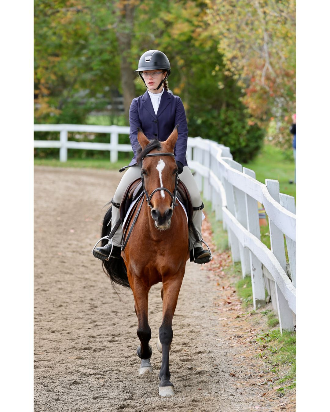 IEA Horse Show, Hannover MA - October 11, 2026 File: ./261011-IEA-Hanover-MA-October-11-2026-51.jpg IEA Horse Show, Hannover MA - October 11, 2026 – 2026 Briggs Stable IEA Show – Oct 11, 2026 – 623 Hanover St, Hanover, MA 02339 – bib #11