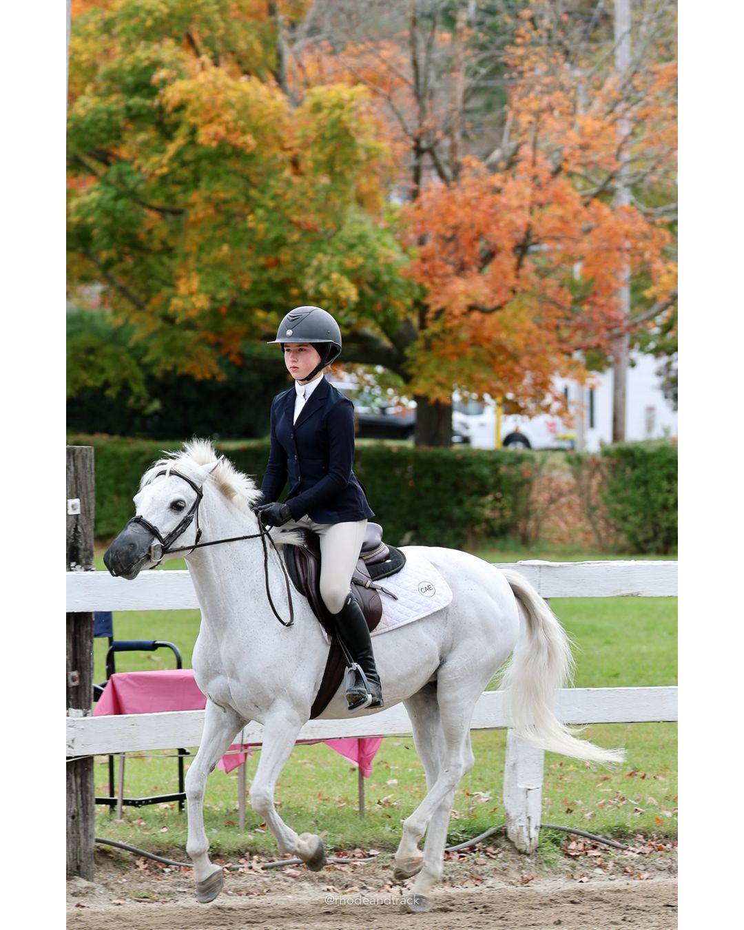 IEA Horse Show, Hannover MA - October 11, 2026 File: ./261011-IEA-Hanover-MA-October-11-2026-53.jpg IEA Horse Show, Hannover MA - October 11, 2026 – 2026 Briggs Stable IEA Show – Oct 11, 2026 – 623 Hanover St, Hanover, MA 02339 – bib #11