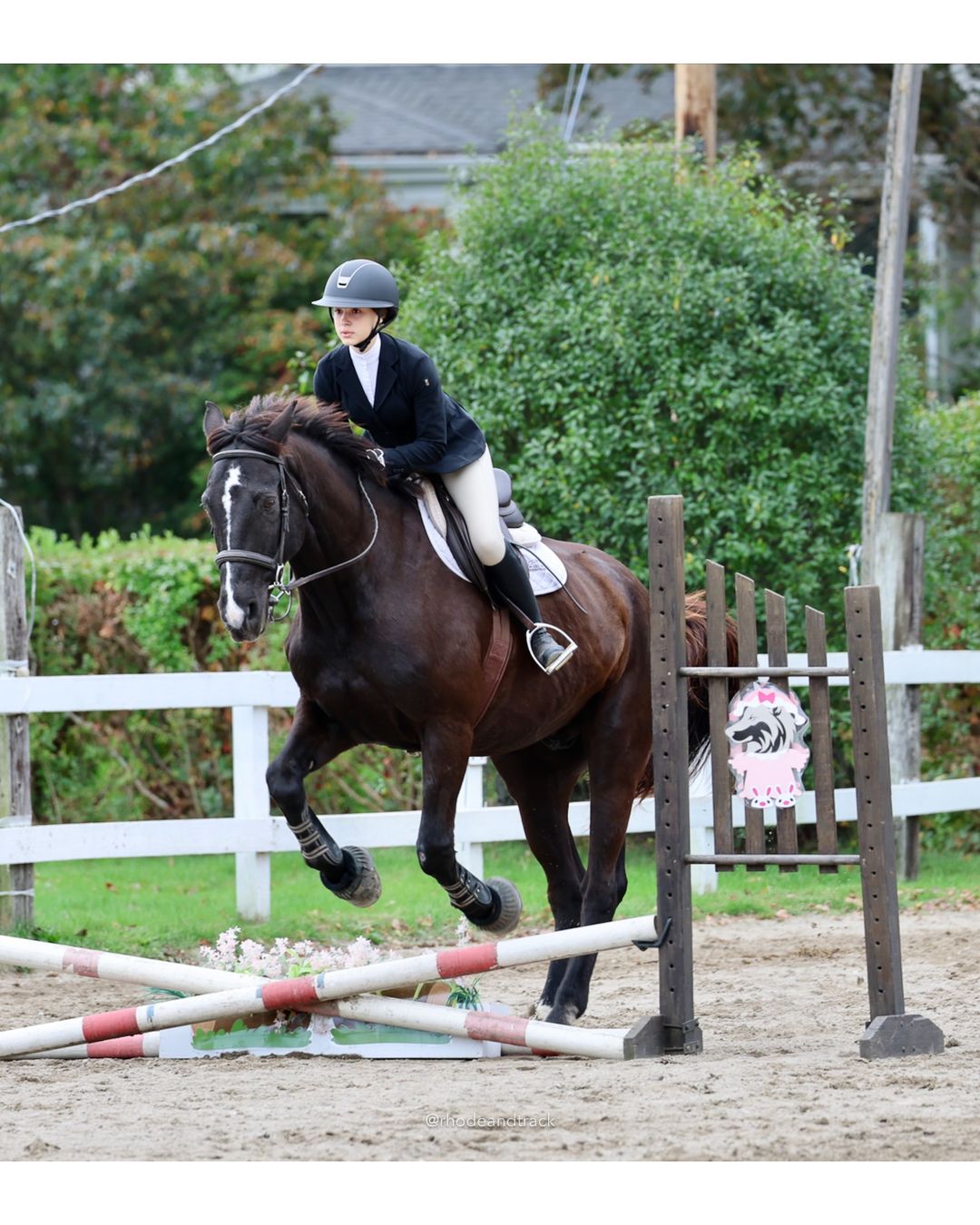 IEA Horse Show, Hannover MA - October 11, 2026 File: ./261011-IEA-Hanover-MA-October-11-2026-59.jpg IEA Horse Show, Hannover MA - October 11, 2026 – 2026 Briggs Stable IEA Show – Oct 11, 2026 – 623 Hanover St, Hanover, MA 02339 – bib #11