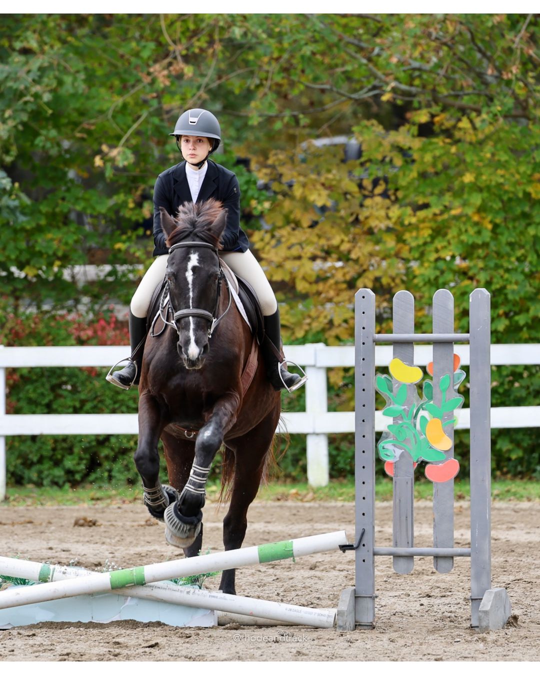 IEA Horse Show, Hannover MA - October 11, 2026 File: ./261011-IEA-Hanover-MA-October-11-2026-61.jpg IEA Horse Show, Hannover MA - October 11, 2026 – 2026 Briggs Stable IEA Show – Oct 11, 2026 – 623 Hanover St, Hanover, MA 02339 – bib #11