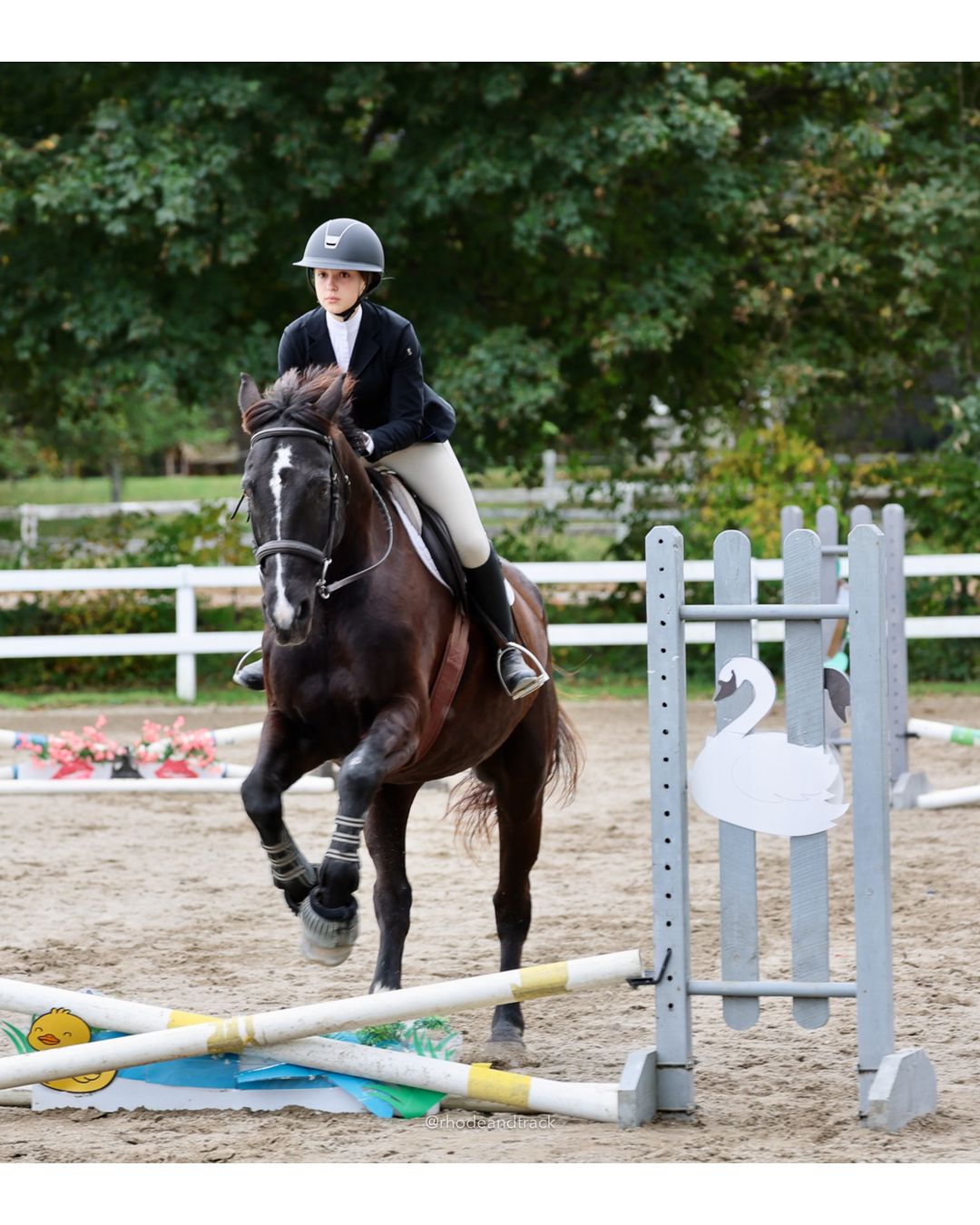 IEA Horse Show, Hannover MA - October 11, 2026 File: ./261011-IEA-Hanover-MA-October-11-2026-62.jpg IEA Horse Show, Hannover MA - October 11, 2026 – 2026 Briggs Stable IEA Show – Oct 11, 2026 – 623 Hanover St, Hanover, MA 02339 – bib #11