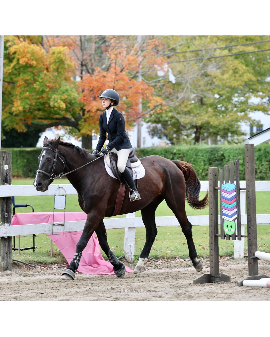IEA Horse Show, Hannover MA - October 11, 2026 File: ./261011-IEA-Hanover-MA-October-11-2026-63.jpg IEA Horse Show, Hannover MA - October 11, 2026 – 2026 Briggs Stable IEA Show – Oct 11, 2026 – 623 Hanover St, Hanover, MA 02339 – bib #11