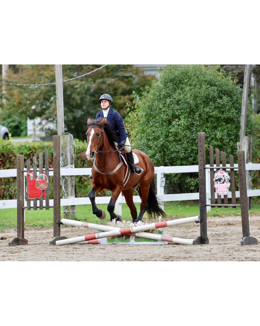 IEA Horse Show, Hannover MA - October 11, 2026 File: ./261011-IEA-Hanover-MA-October-11-2026-64.jpg IEA Horse Show, Hannover MA - October 11, 2026 – 2026 Briggs Stable IEA Show – Oct 11, 2026 – 623 Hanover St, Hanover, MA 02339 – bib #11