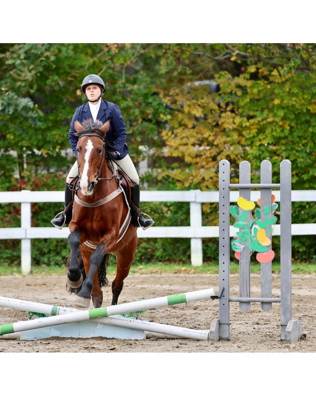 IEA Horse Show, Hannover MA - October 11, 2026 File: ./261011-IEA-Hanover-MA-October-11-2026-66.jpg IEA Horse Show, Hannover MA - October 11, 2026 – 2026 Briggs Stable IEA Show – Oct 11, 2026 – 623 Hanover St, Hanover, MA 02339 – bib #11