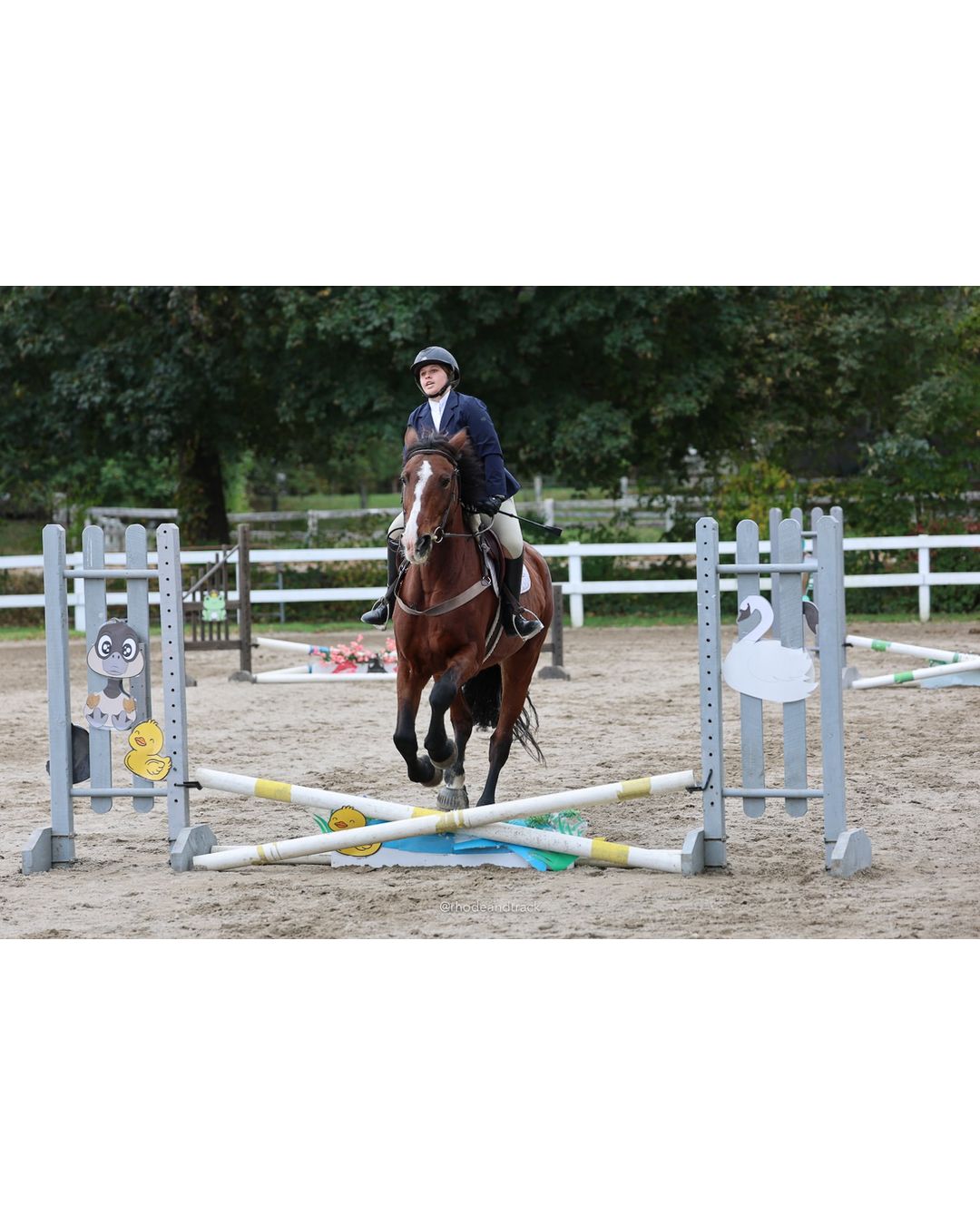 IEA Horse Show, Hannover MA - October 11, 2026 File: ./261011-IEA-Hanover-MA-October-11-2026-67.jpg IEA Horse Show, Hannover MA - October 11, 2026 – 2026 Briggs Stable IEA Show – Oct 11, 2026 – 623 Hanover St, Hanover, MA 02339 – bib #11